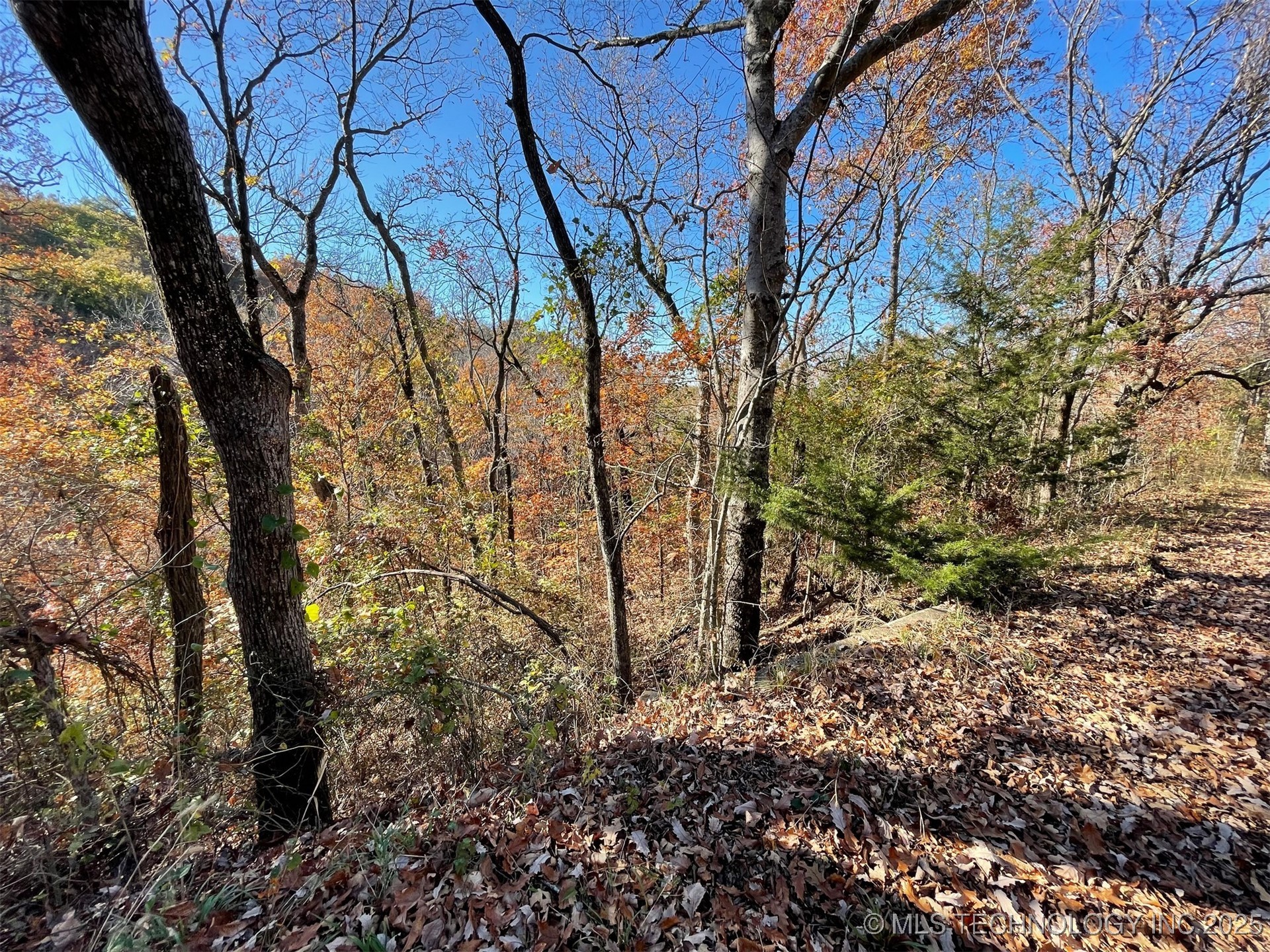 S 4507 Road Property Photo 4