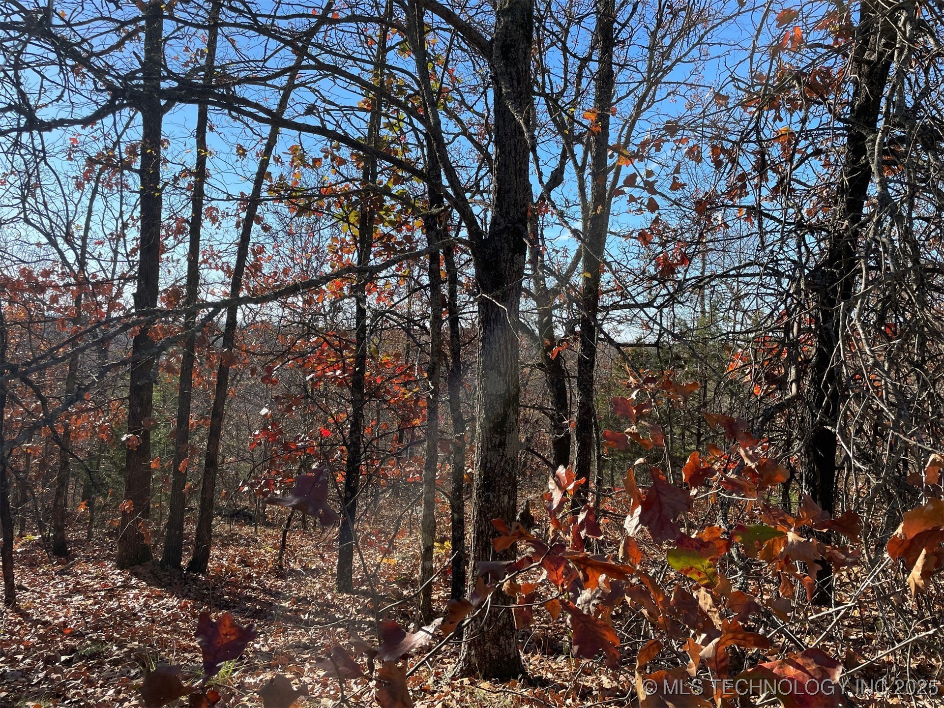 S 4507 Road Property Photo 5