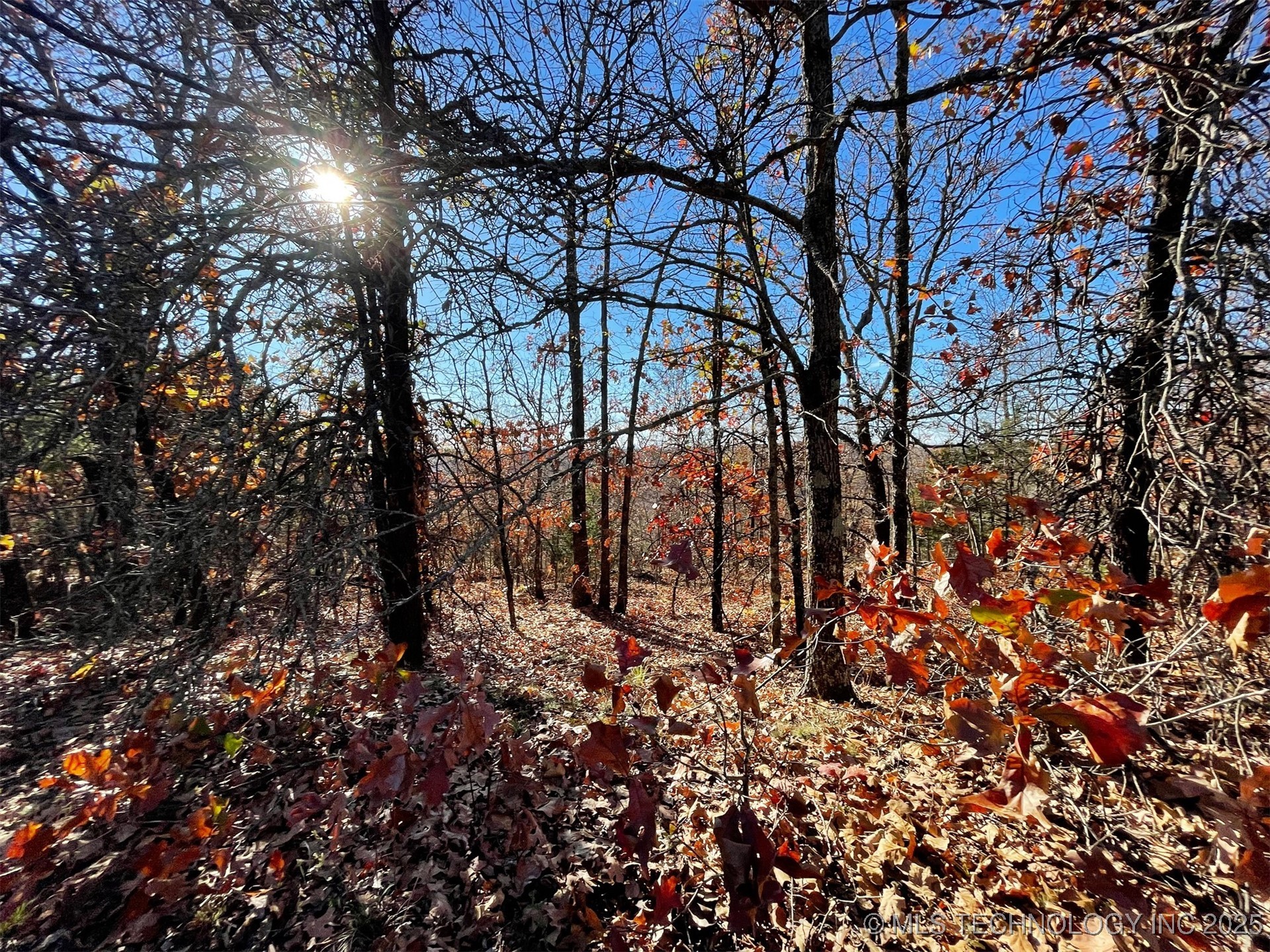 S 4507 Road Property Photo 6