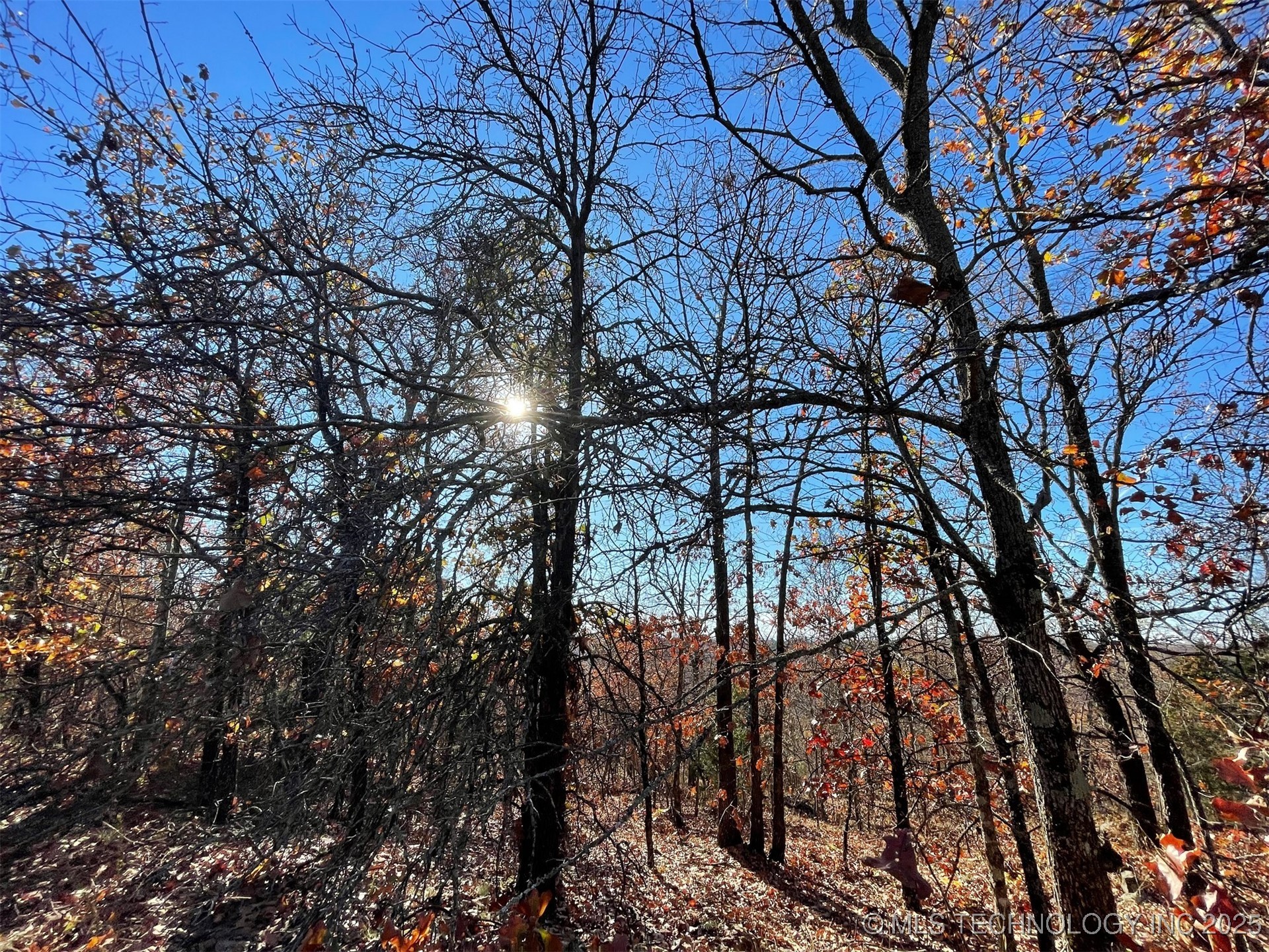 S 4507 Road Property Photo 8