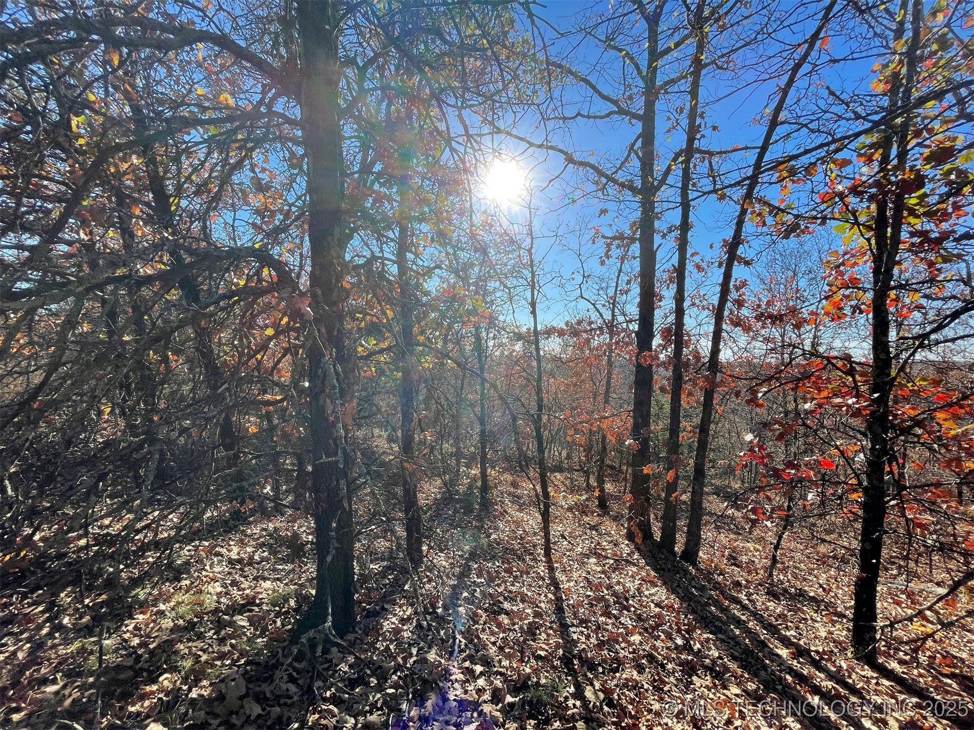 S 4507 Road Property Photo 9