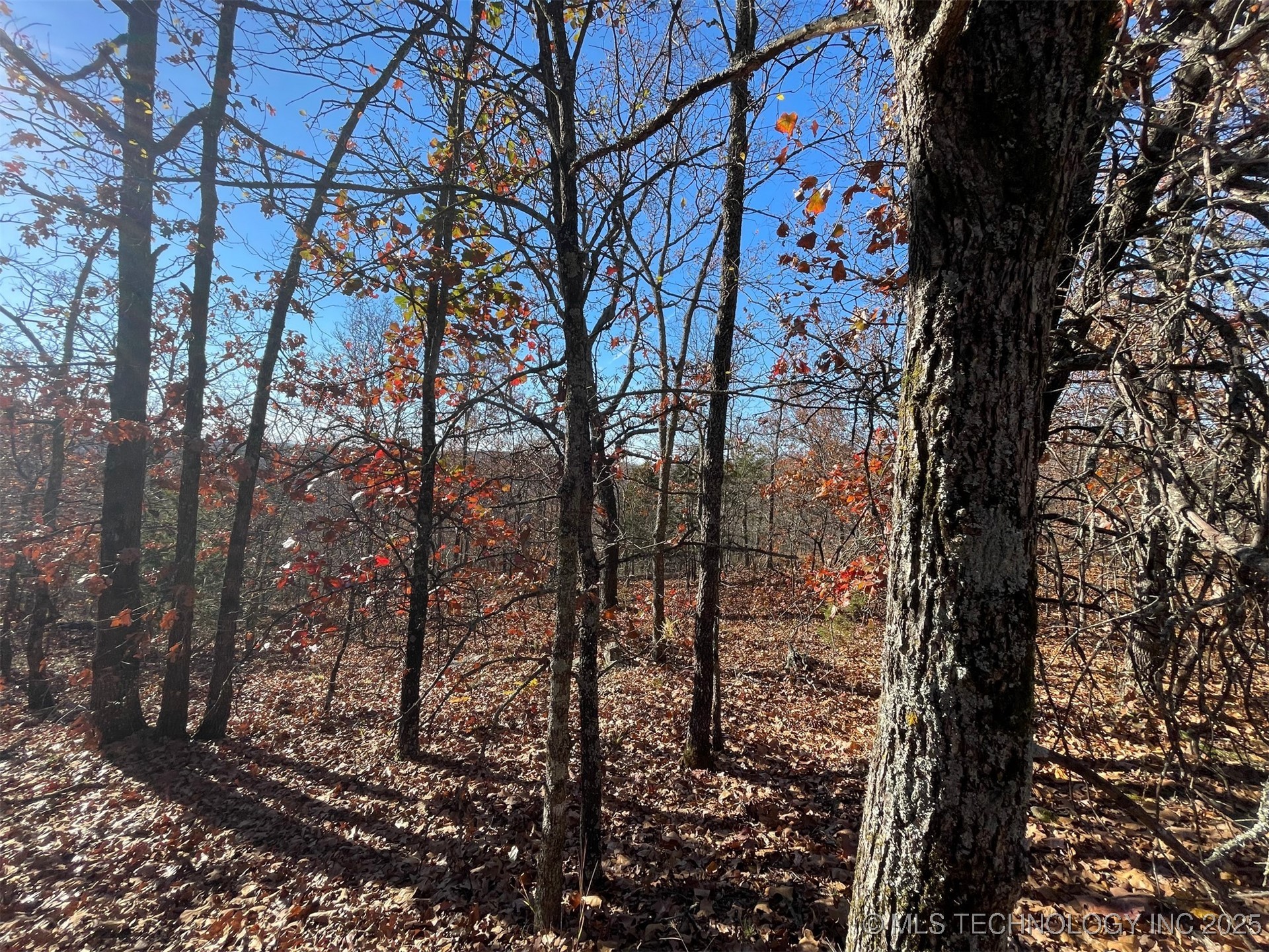 S 4507 Road Property Photo 10