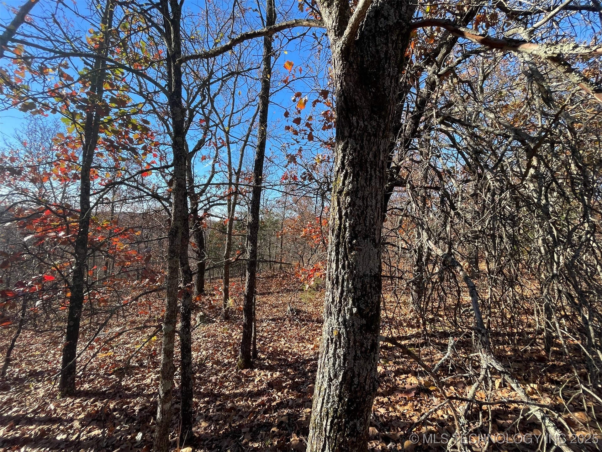 S 4507 Road Property Photo 11