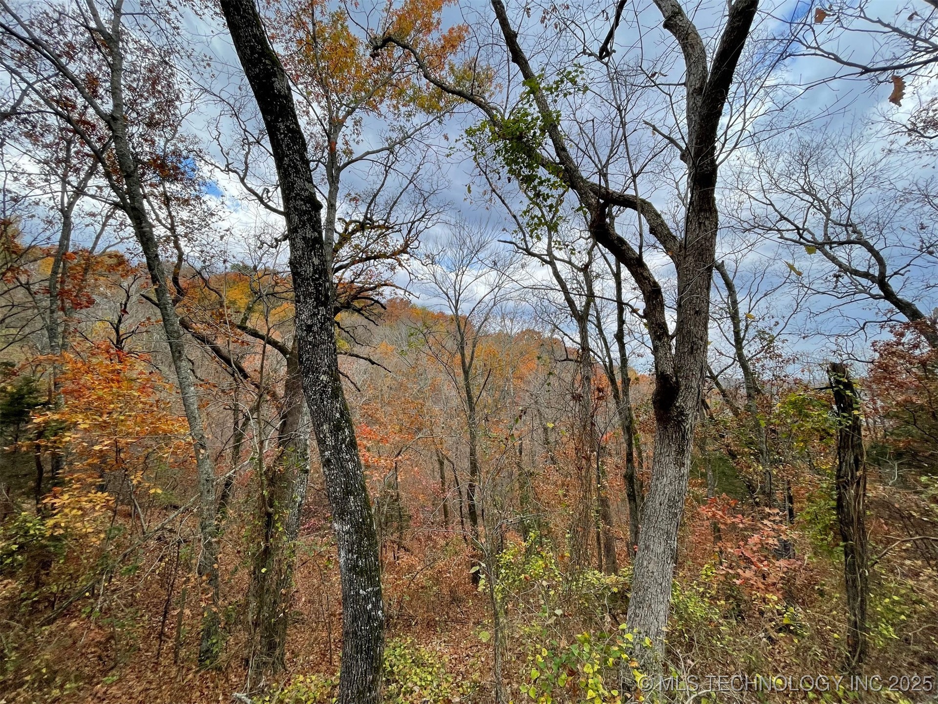 S 4507 Road Property Photo 21