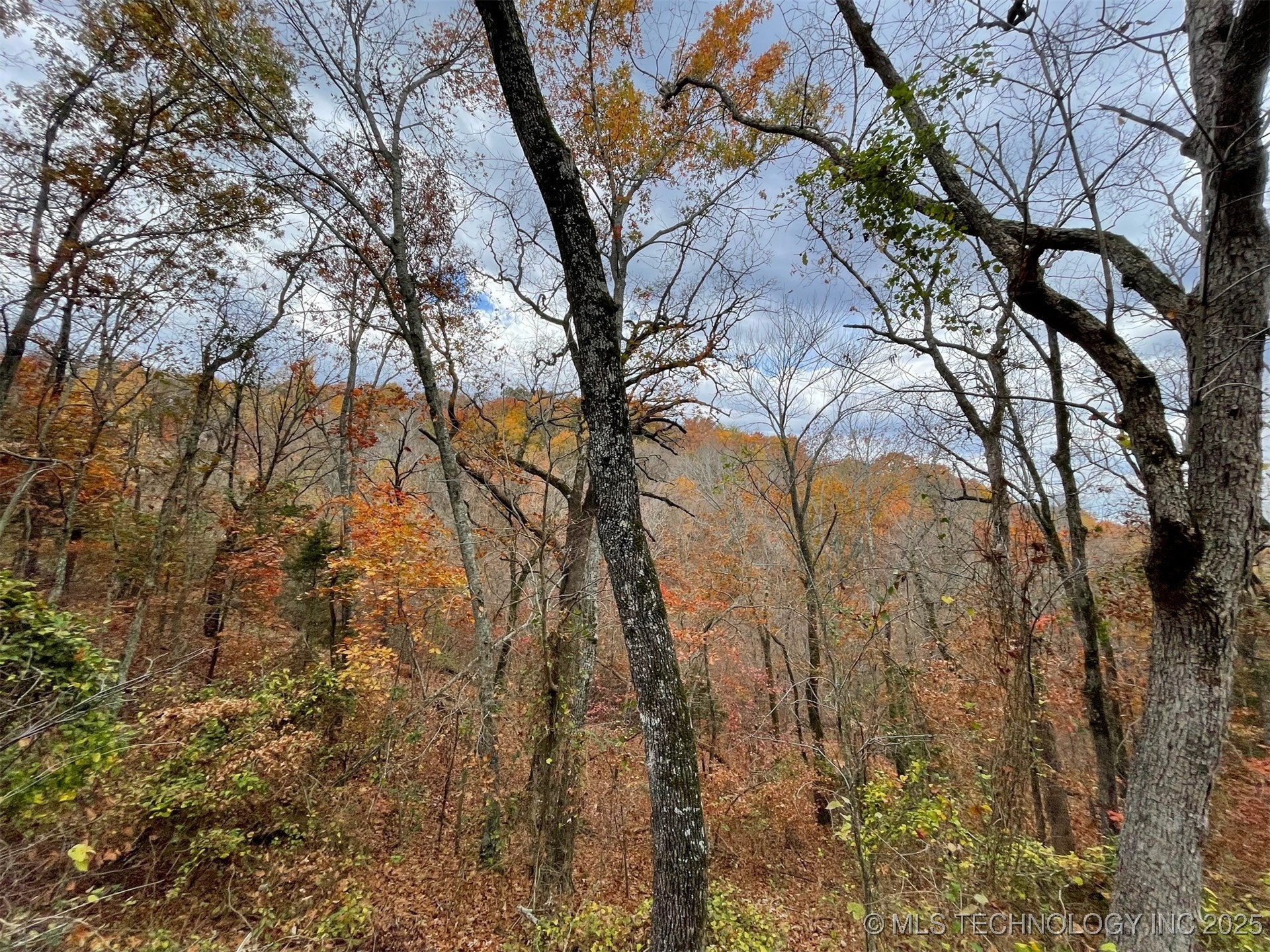 S 4507 Road Property Photo 22