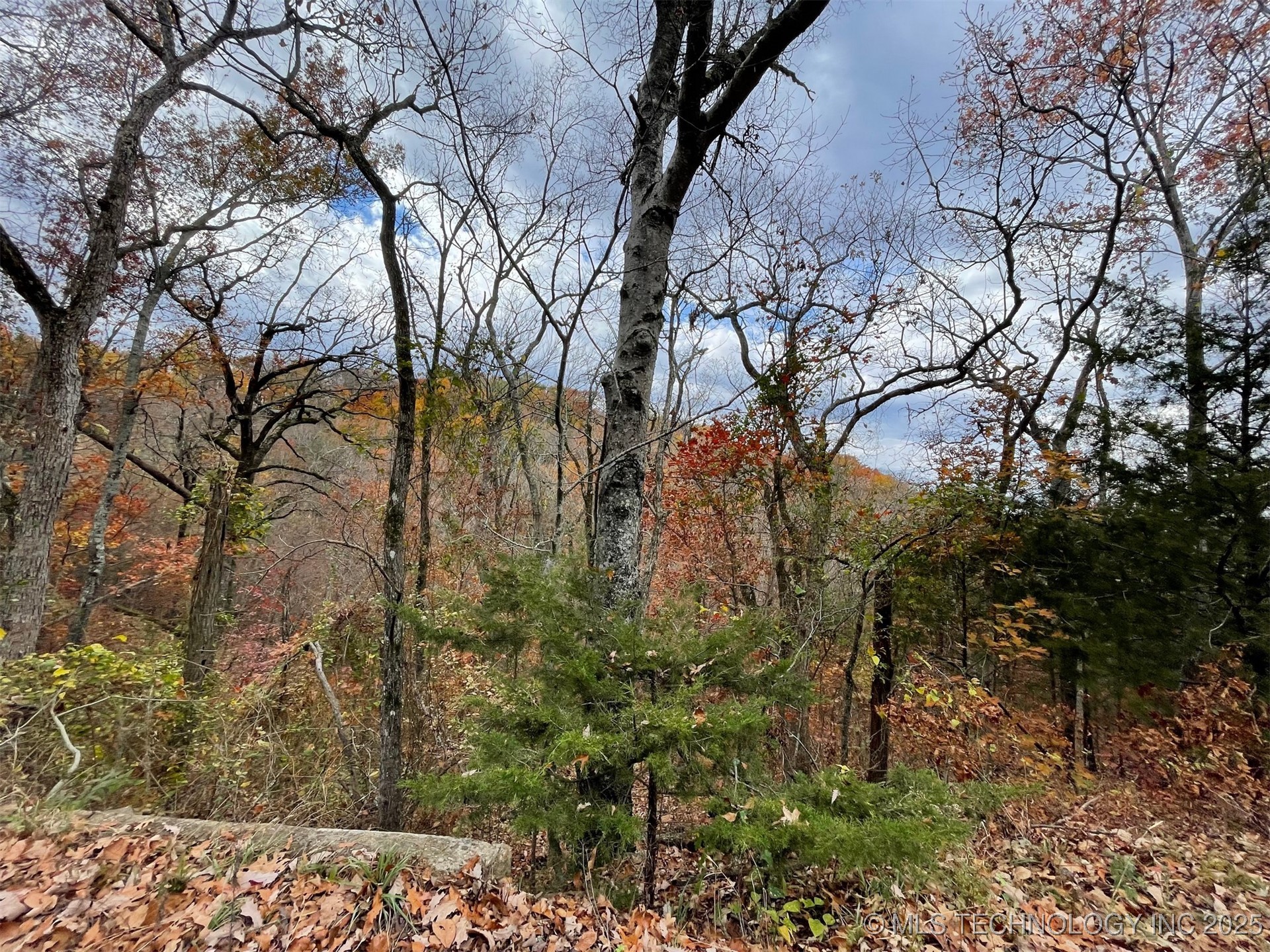 S 4507 Road Property Photo 27