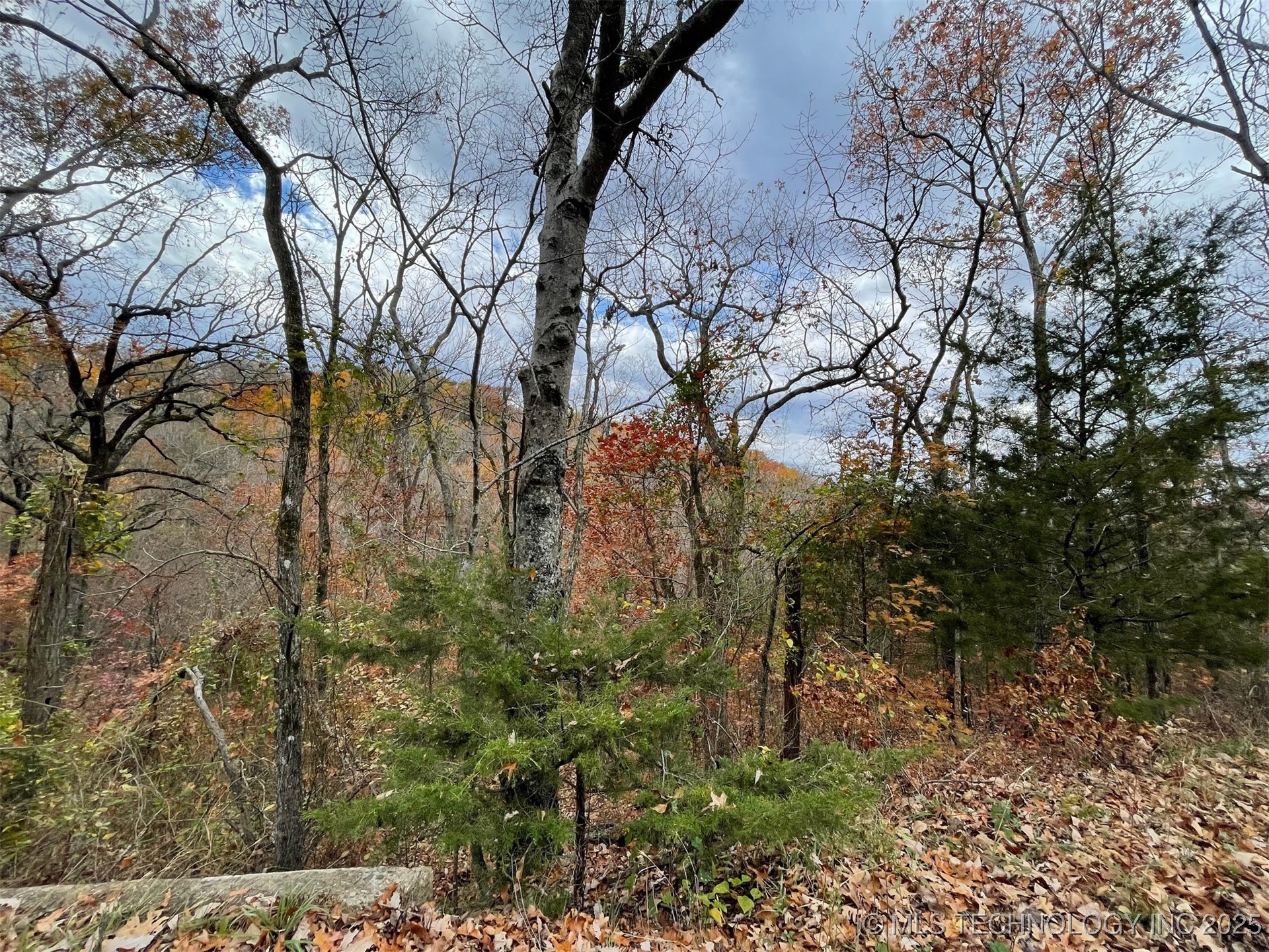 S 4507 Road Property Photo 28