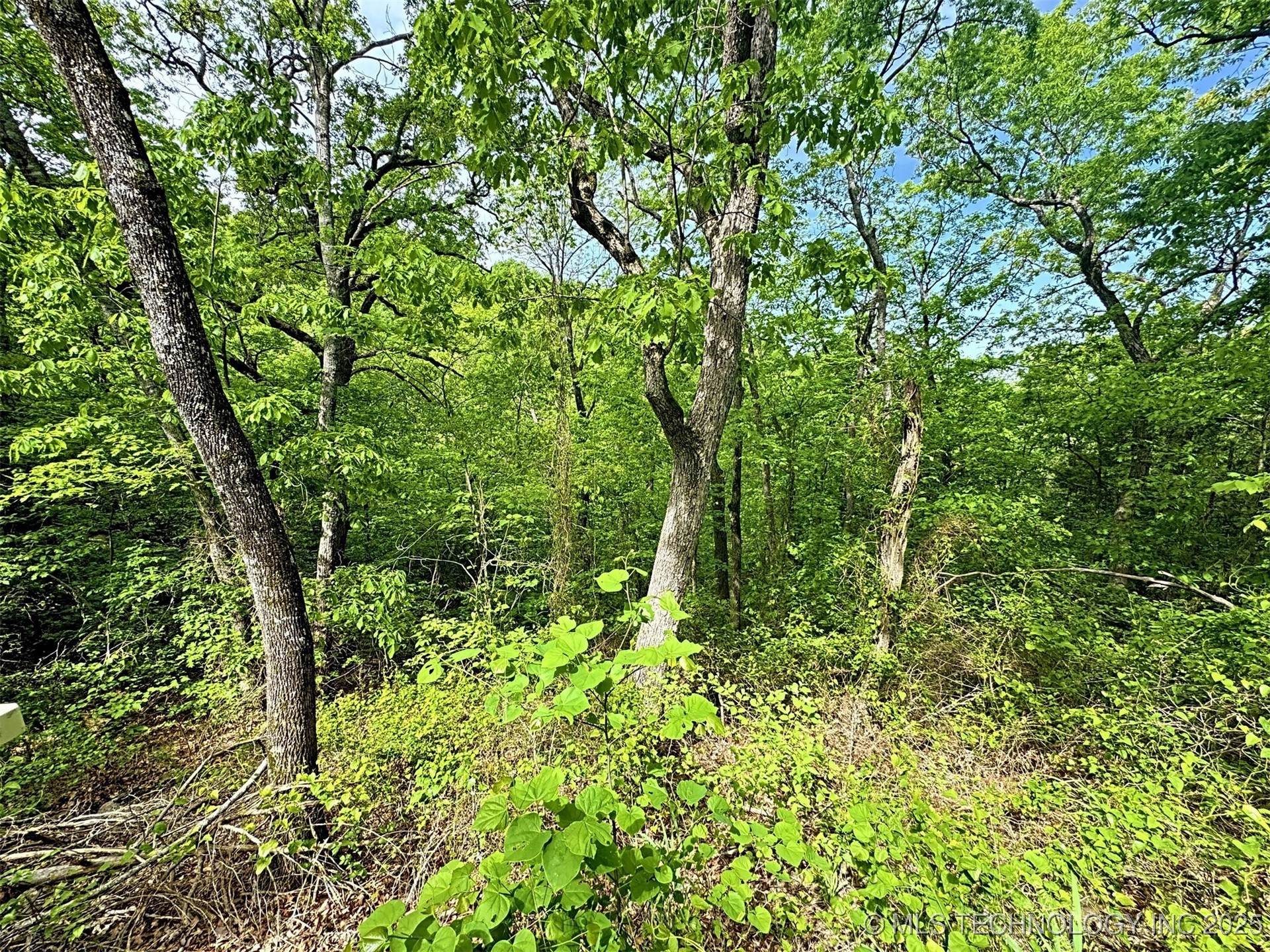 S 4507 Road Property Photo 34