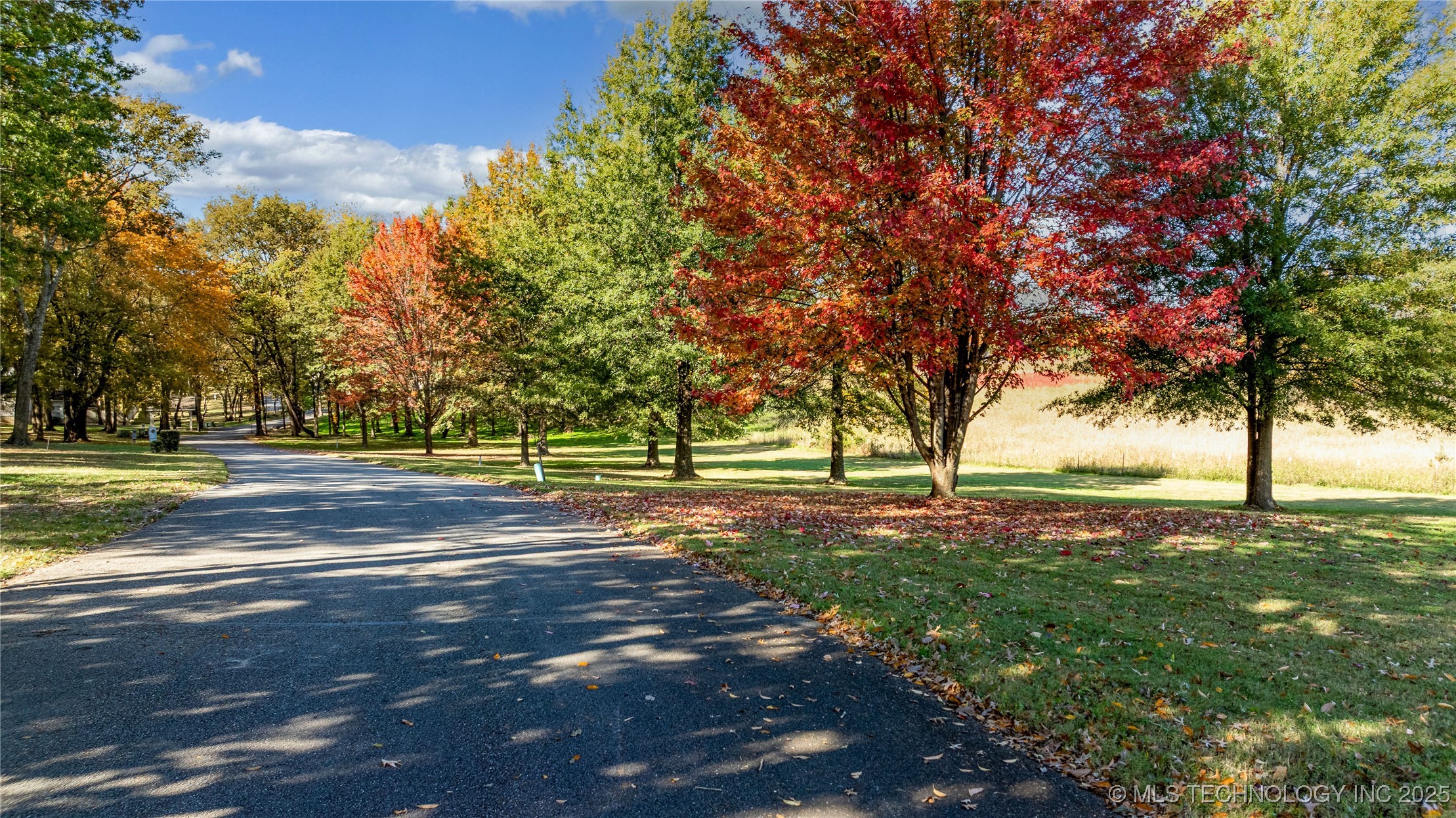 30397 S 567 Road Property Photo 5
