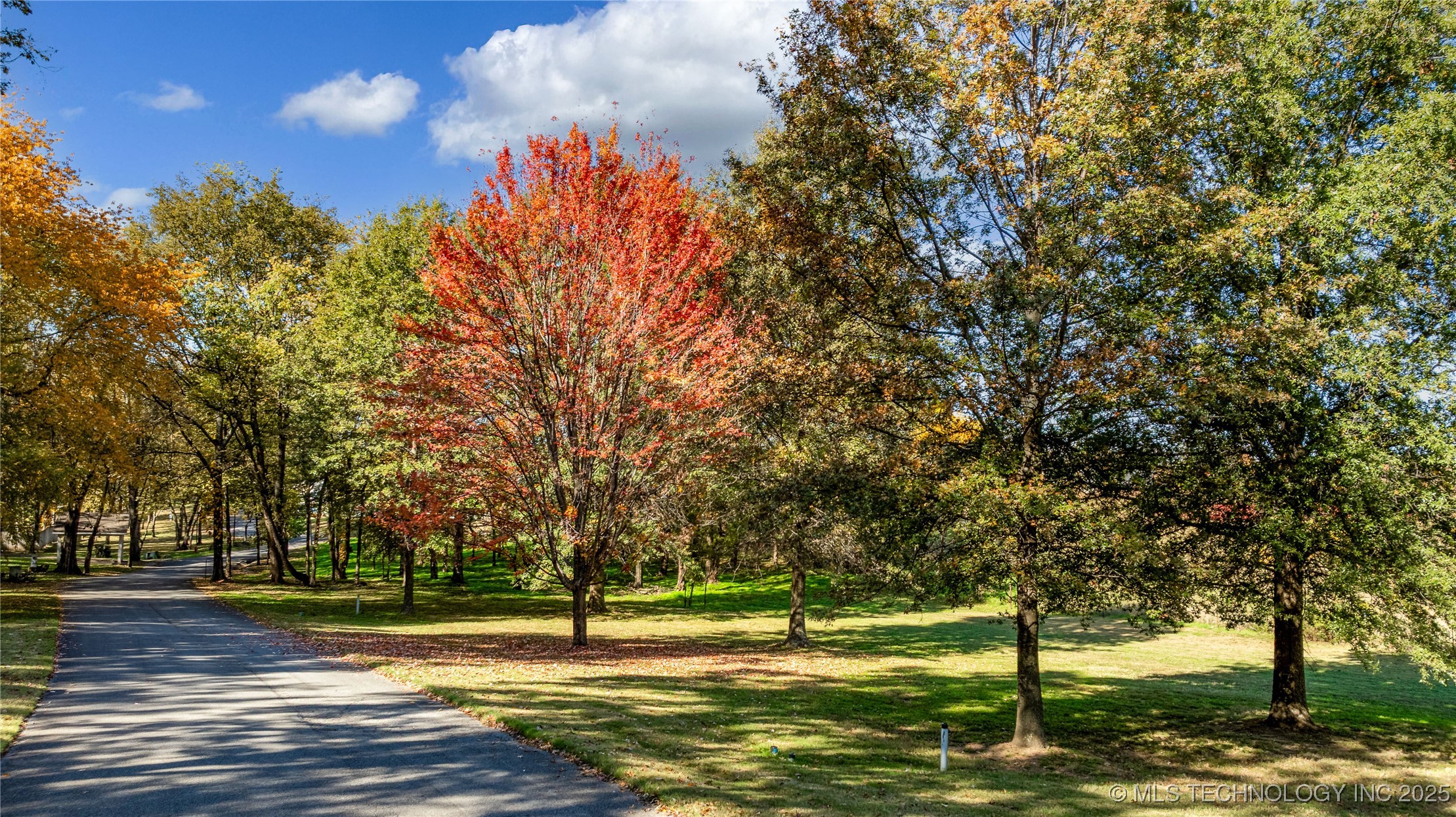 30397 S 567 Road Property Photo 6
