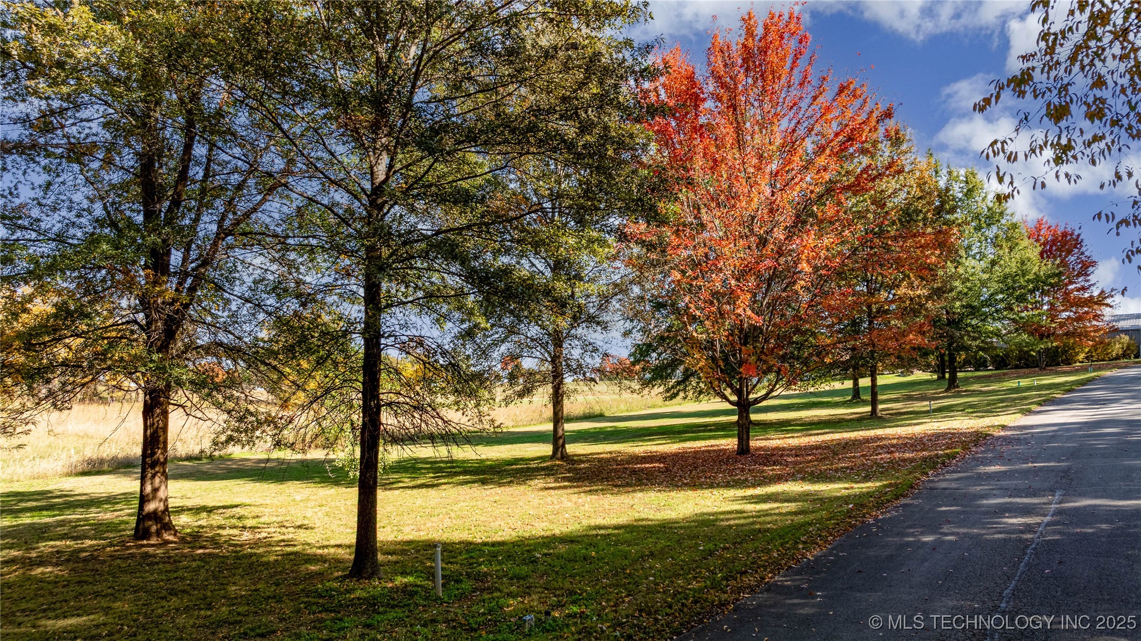 30397 S 567 Road Property Photo 9