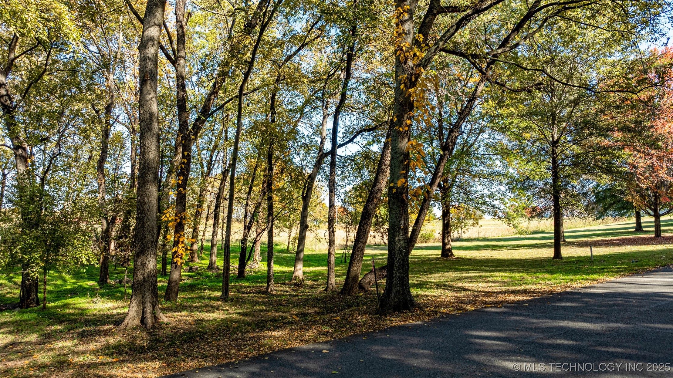 30397 S 567 Road Property Photo 10