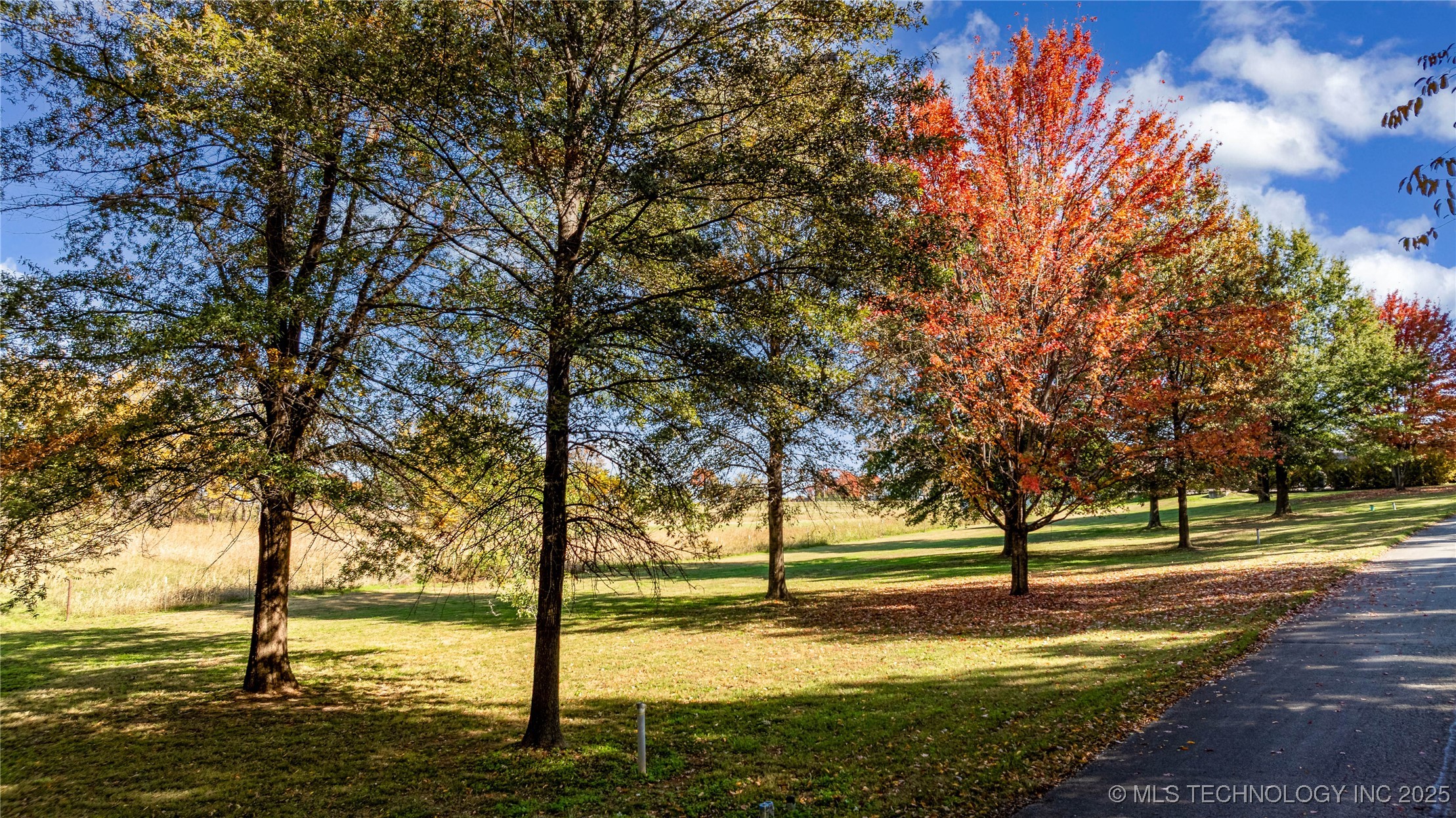 30397 S 567 Road Property Photo 11