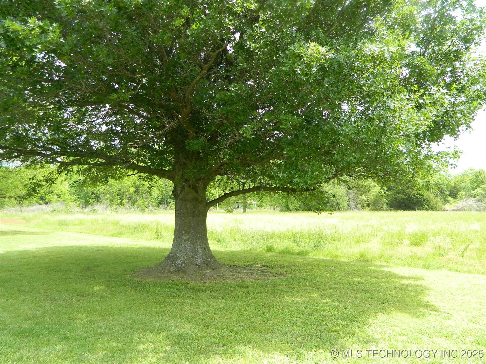 173 County Road 5305 Property Photo 10