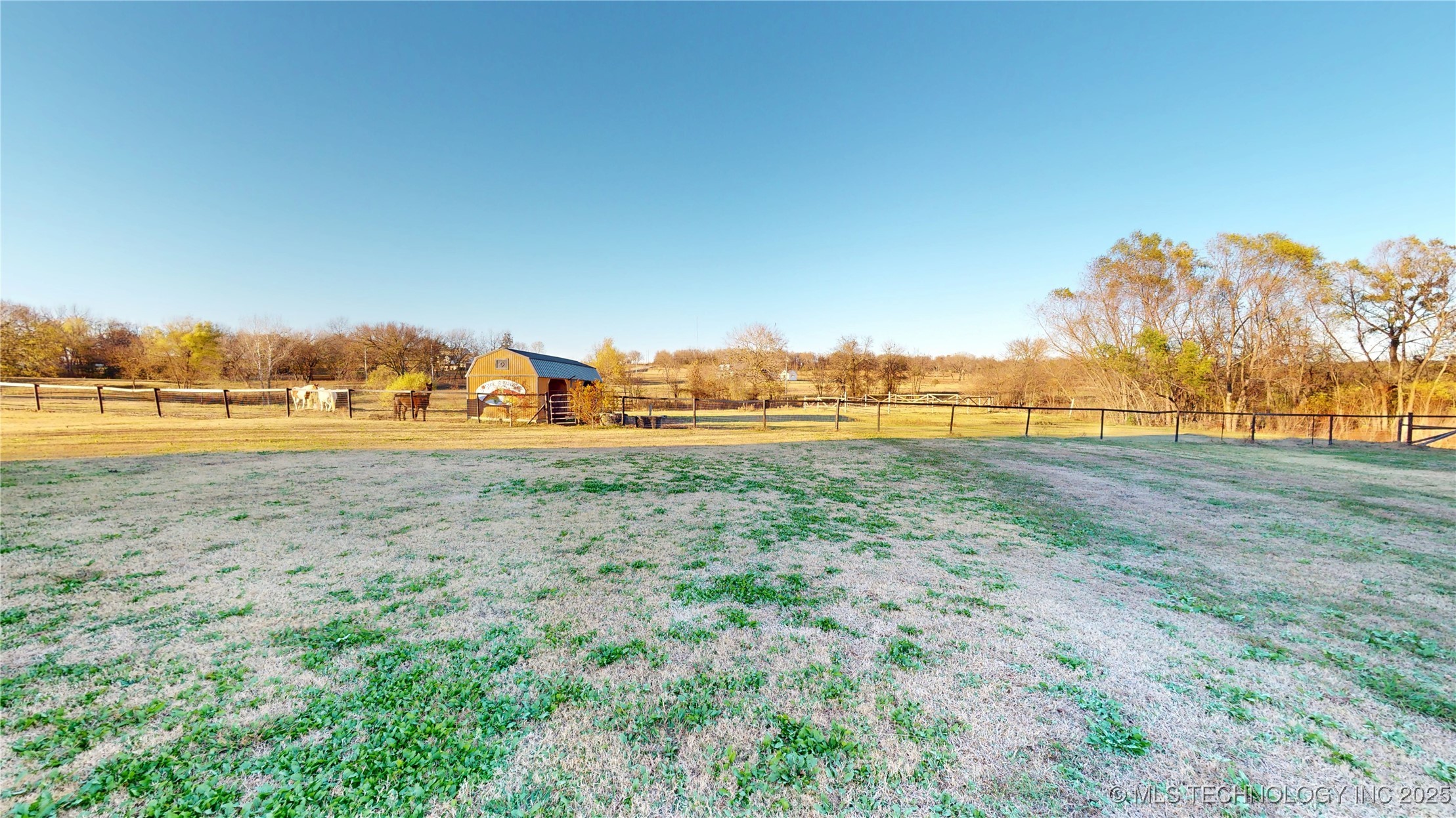 16200 County Road 3635 Property Photo 77