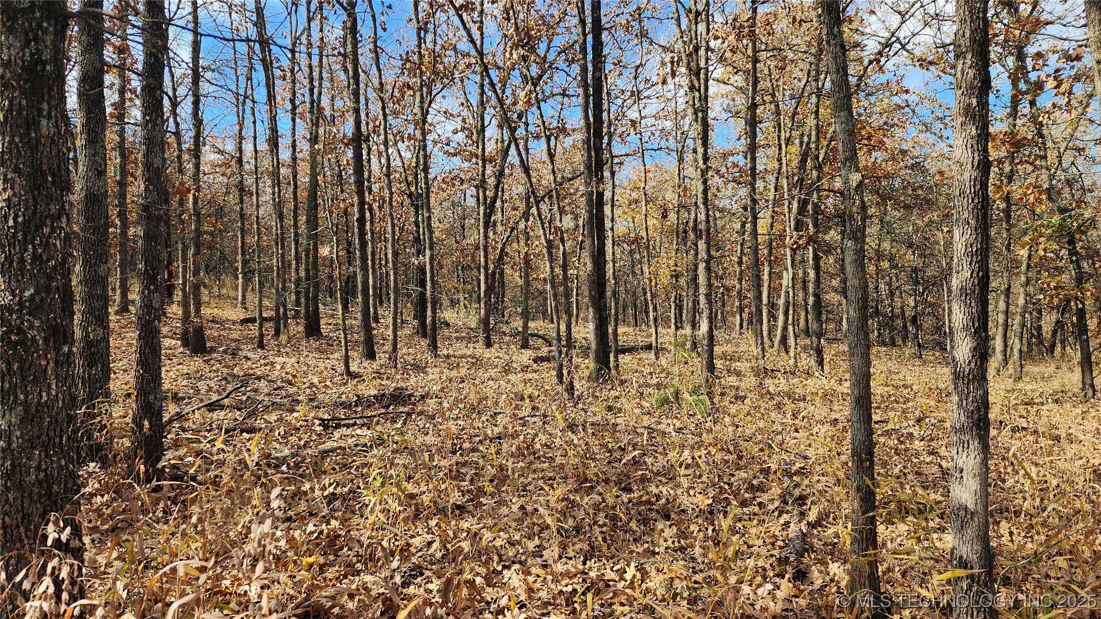 427640 E 290 Road Property Photo 2