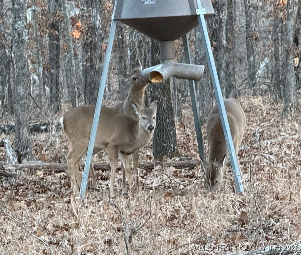 427640 E 290 Road Property Photo 3