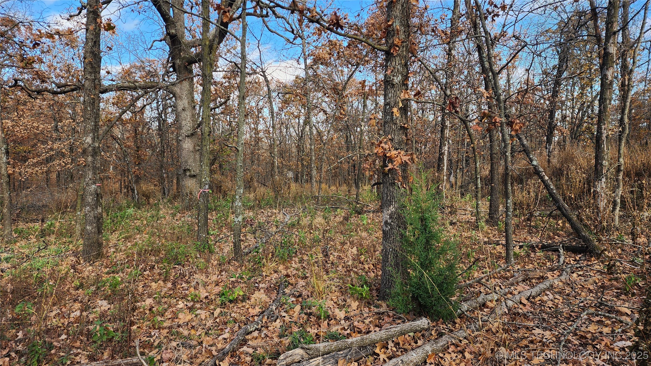 427640 E 290 Road Property Photo 7