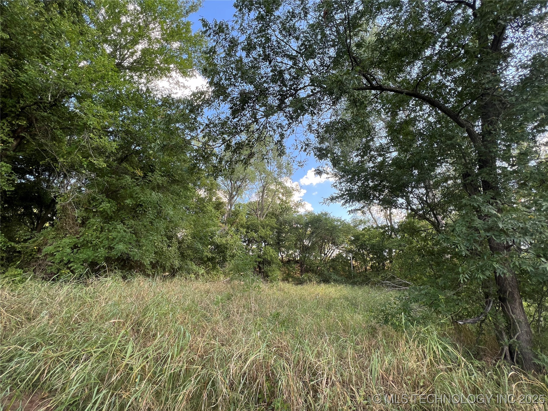 3684 Us Hwy 77 Property Photo 3