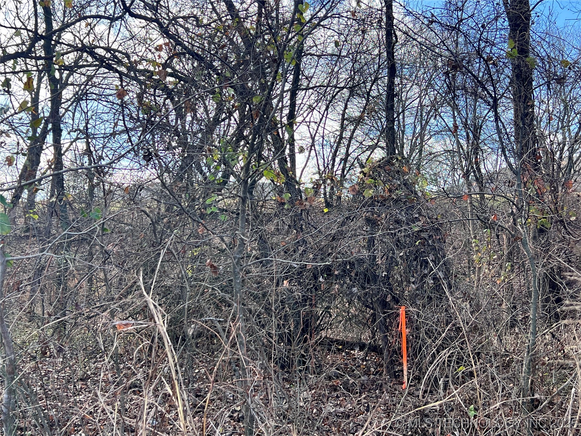 3684 Us Hwy 77 Property Photo 5