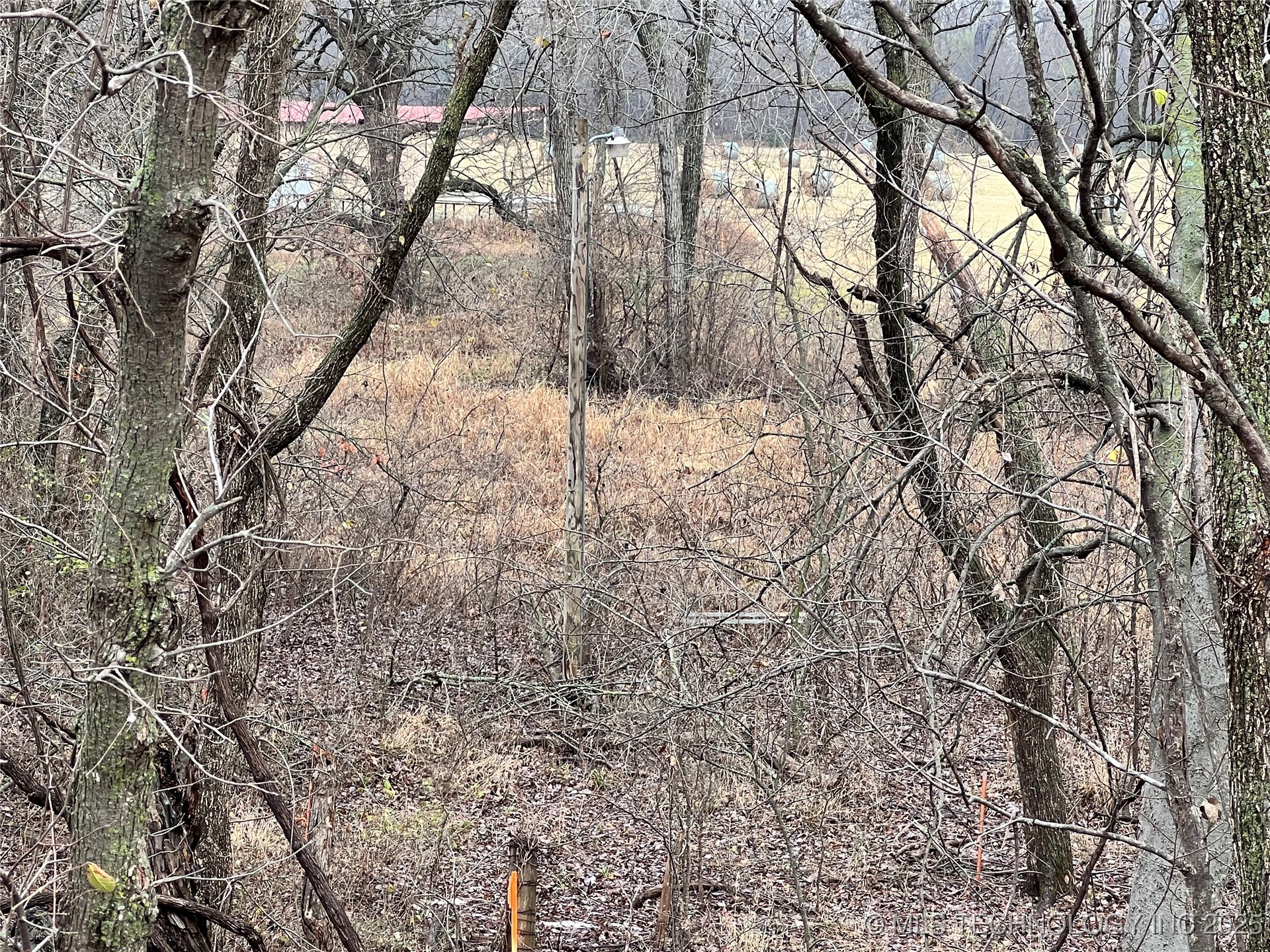 3684 Us Hwy 77 Property Photo 7