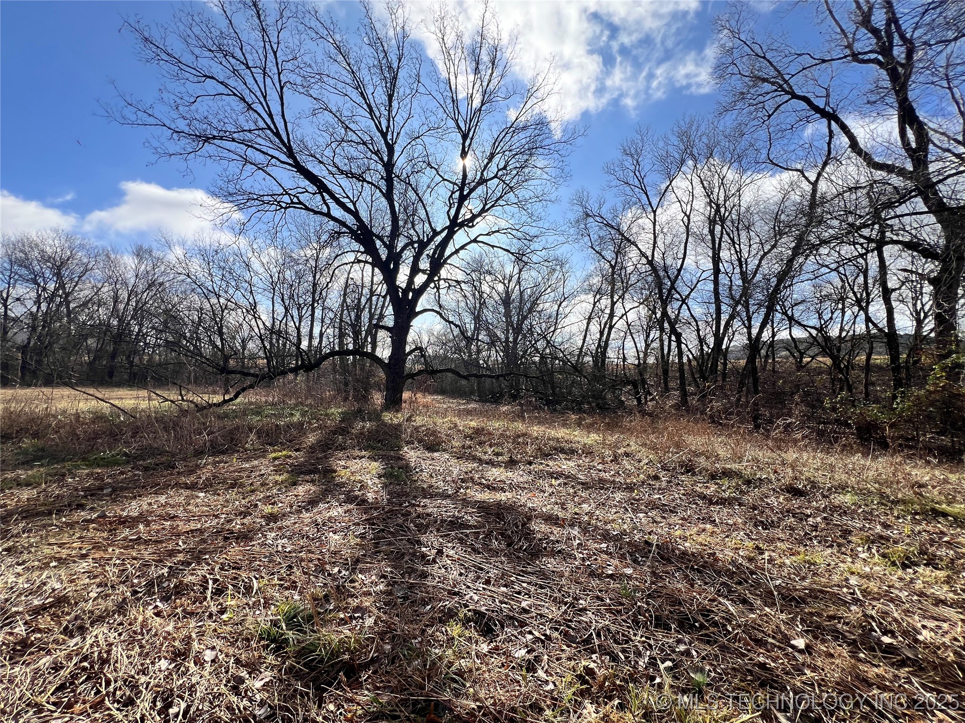 3684 Us Hwy 77 Property Photo 10