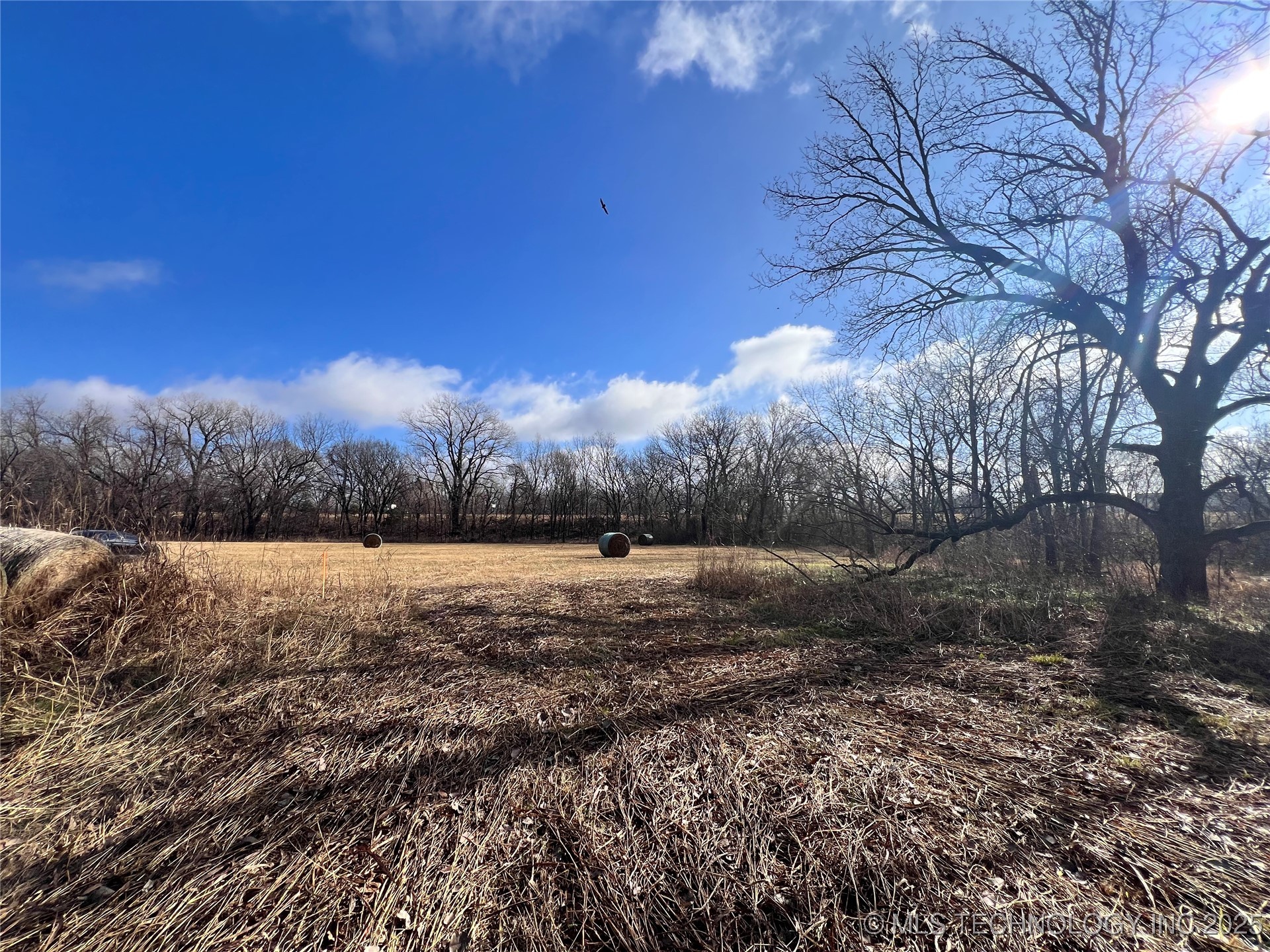 3684 Us Hwy 77 Property Photo 11