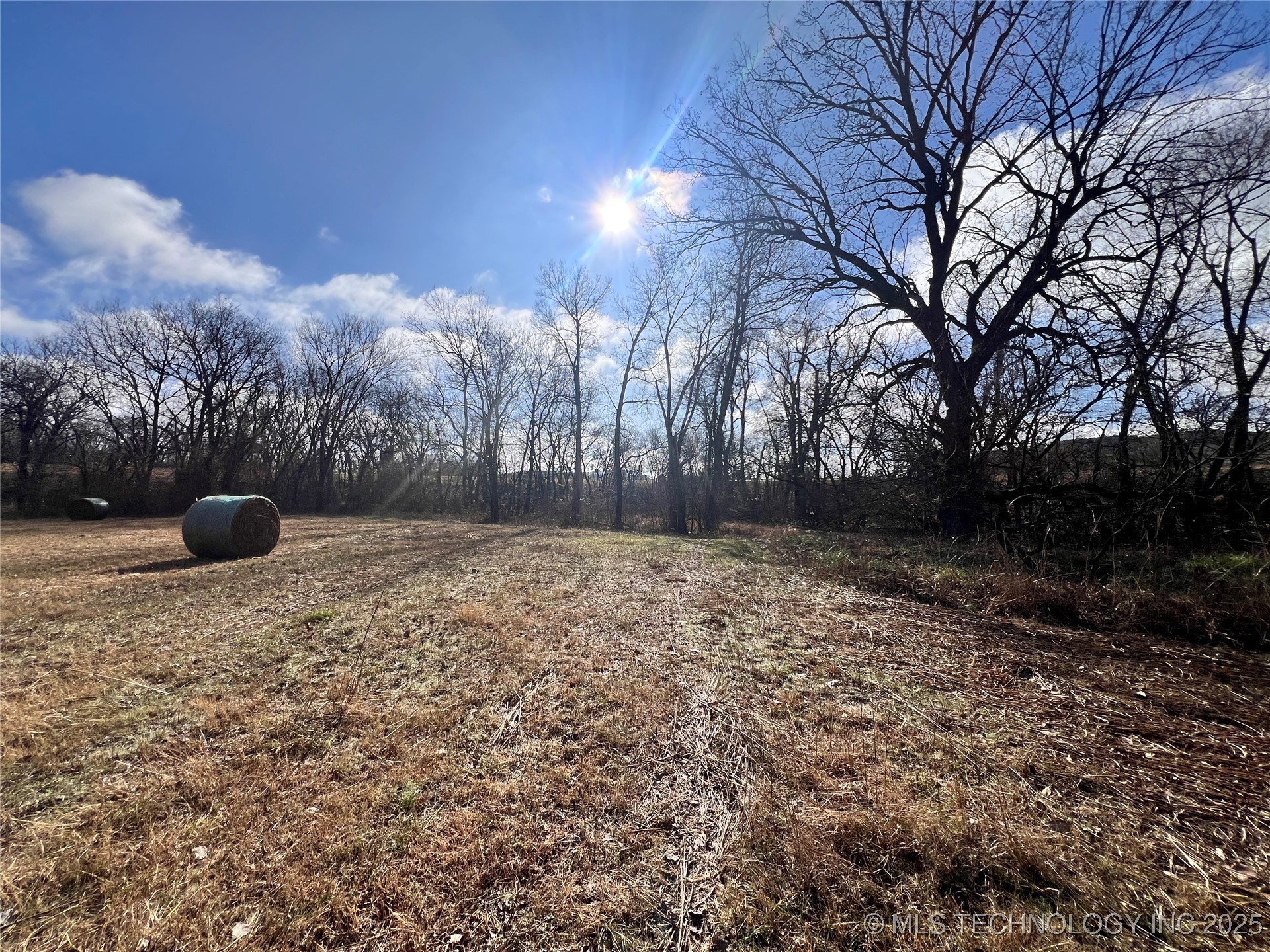 3684 Us Hwy 77 Property Photo 13