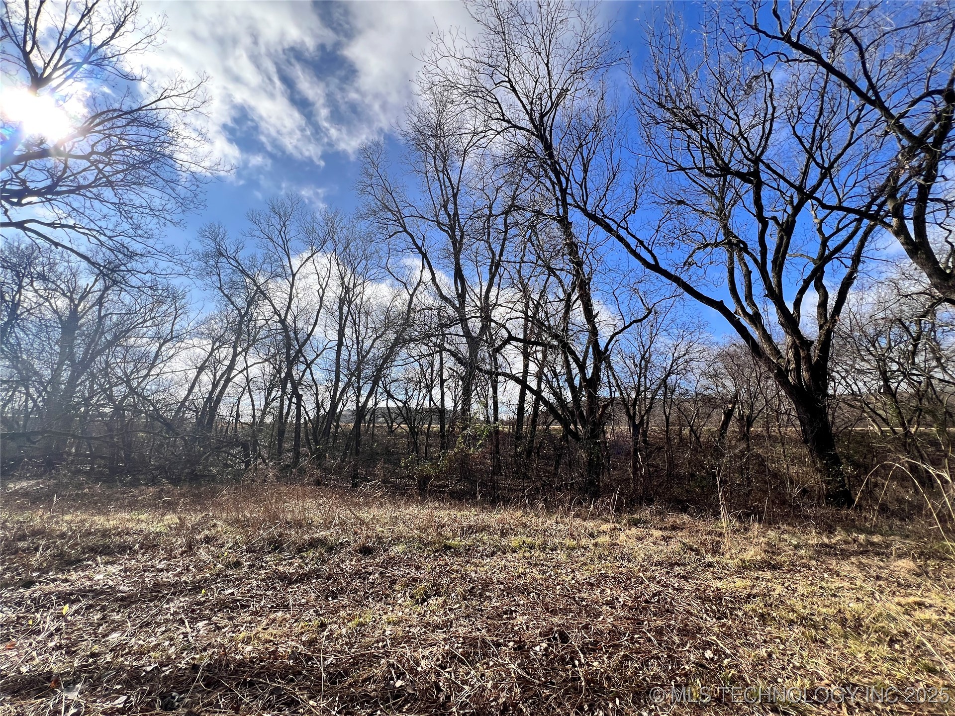 3684 Us Hwy 77 Property Photo 15