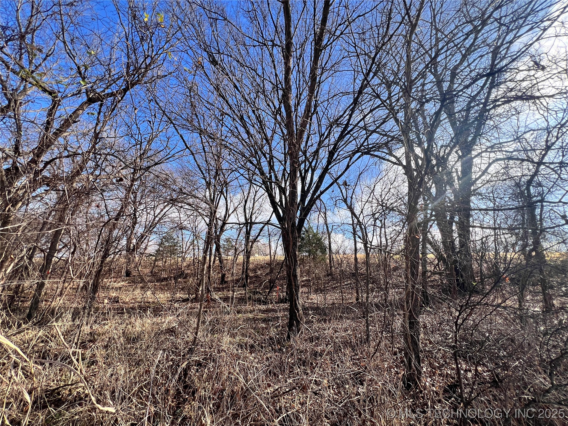 3684 Us Hwy 77 Property Photo 17