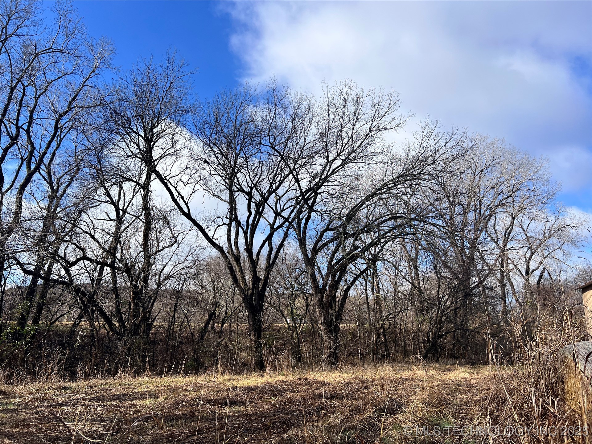 3684 Us Hwy 77 Property Photo 20