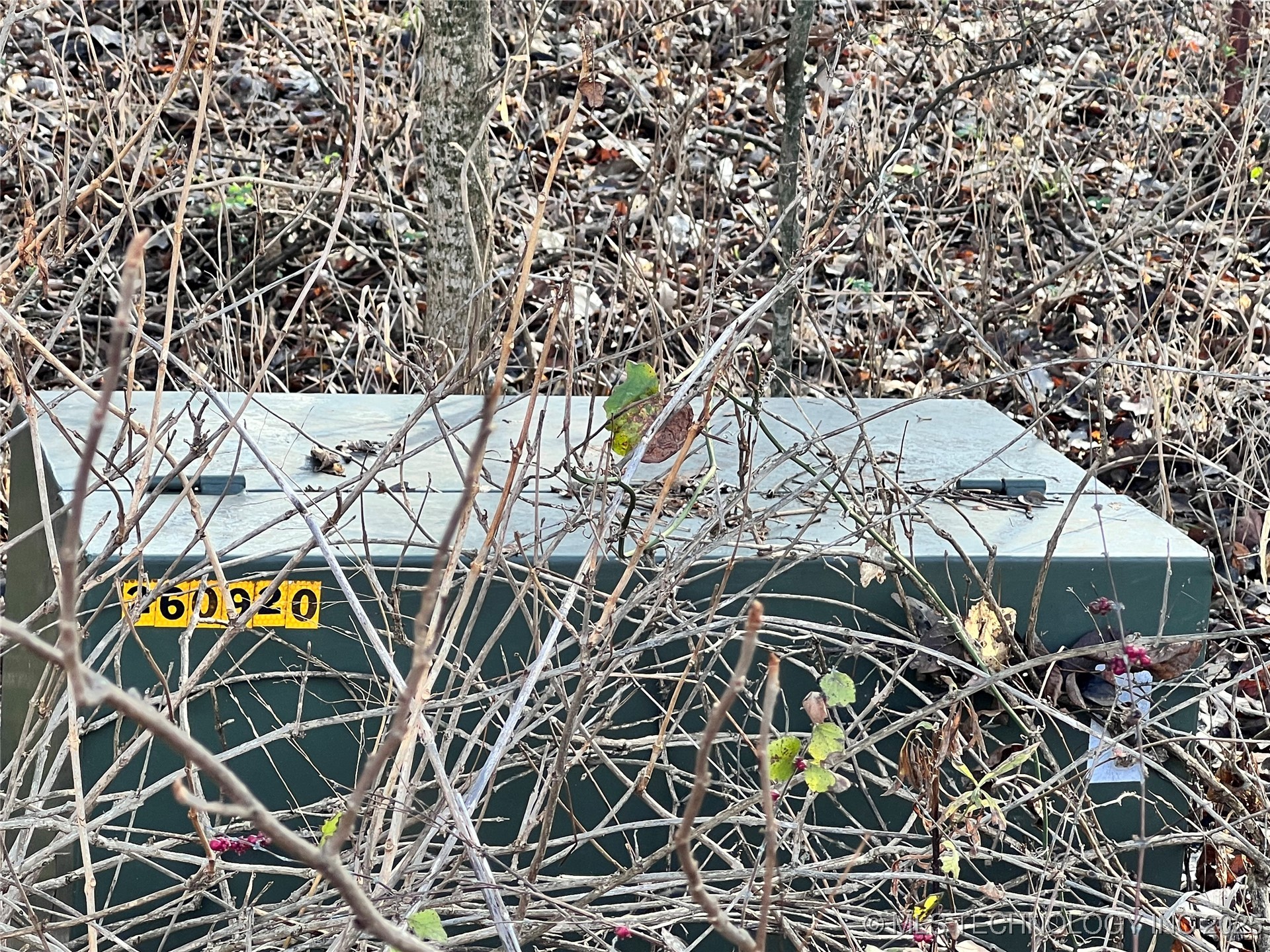 3684 Us Hwy 77 Property Photo 21