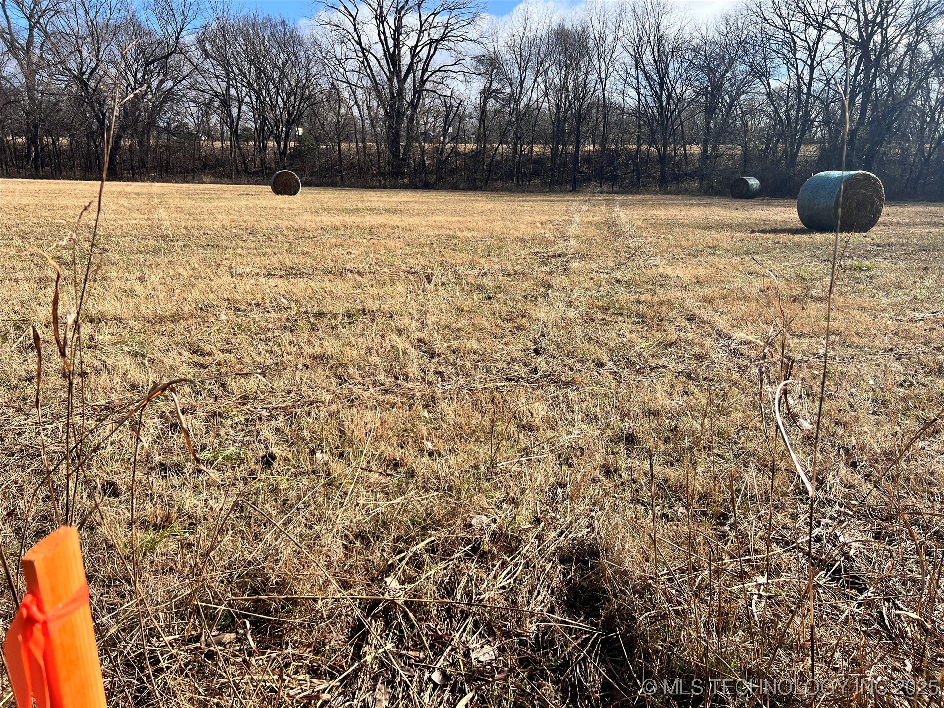 3684 Us Hwy 77 Property Photo 22