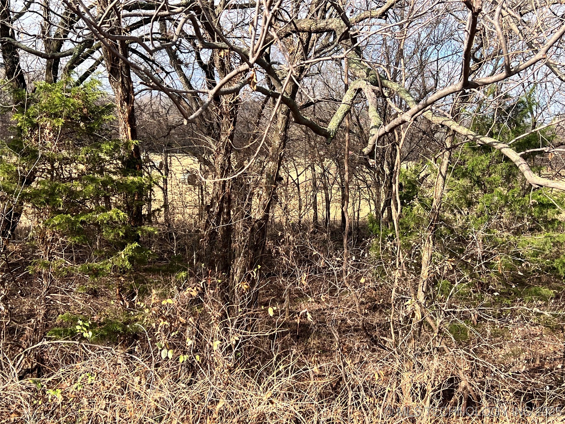 3684 Us Hwy 77 Property Photo 24