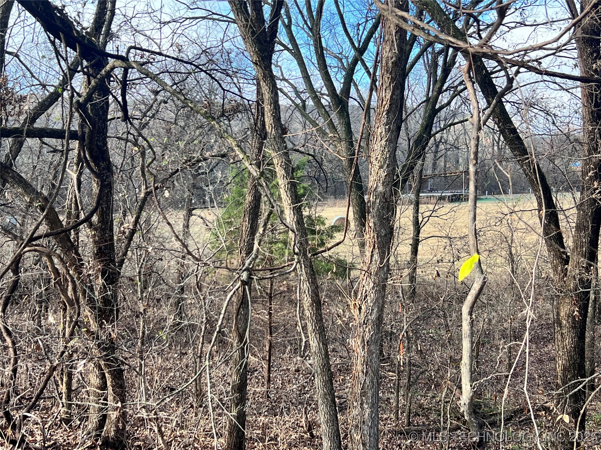 3684 Us Hwy 77 Property Photo 25