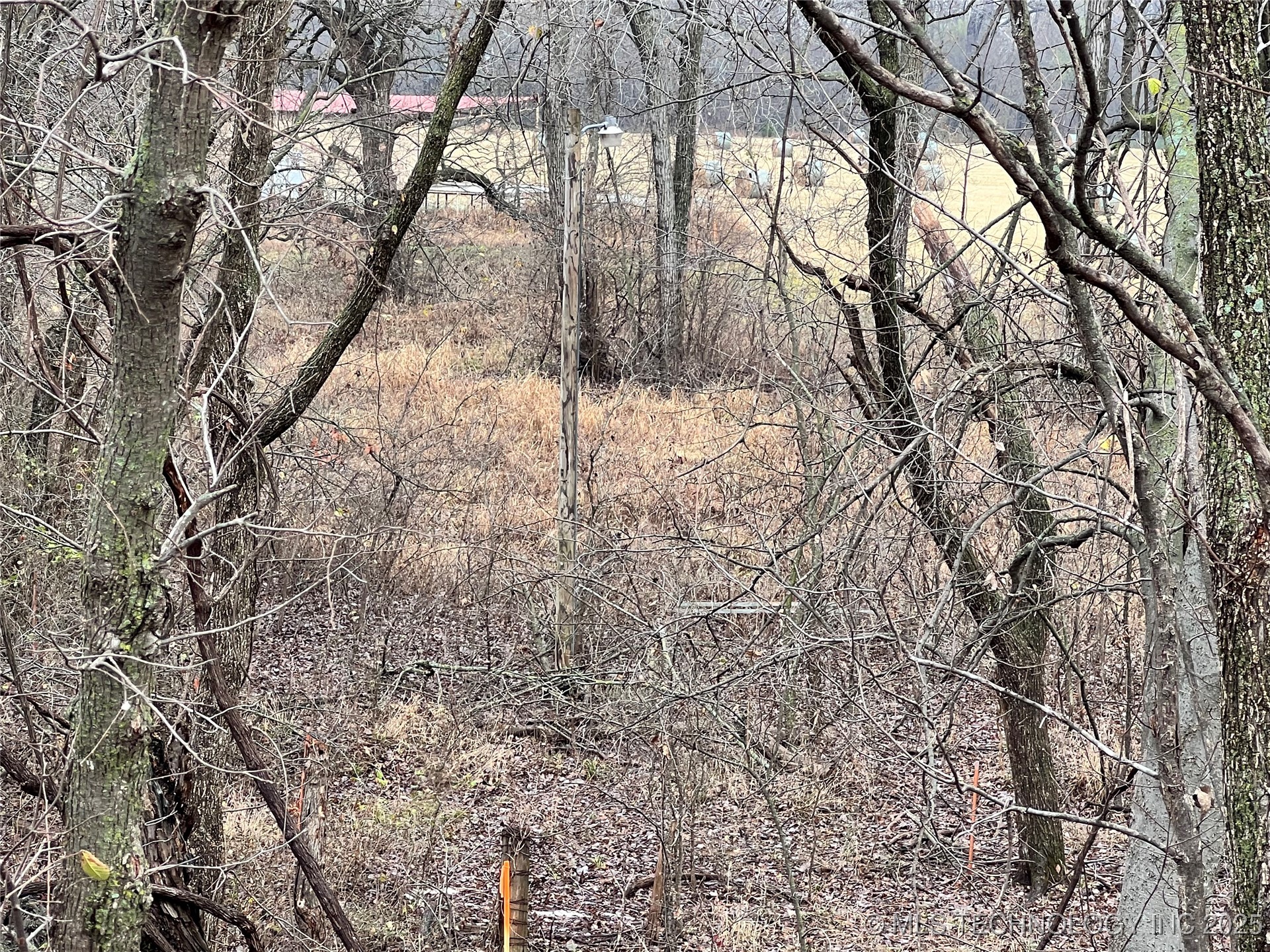 3684 Us Hwy 77 Property Photo 29