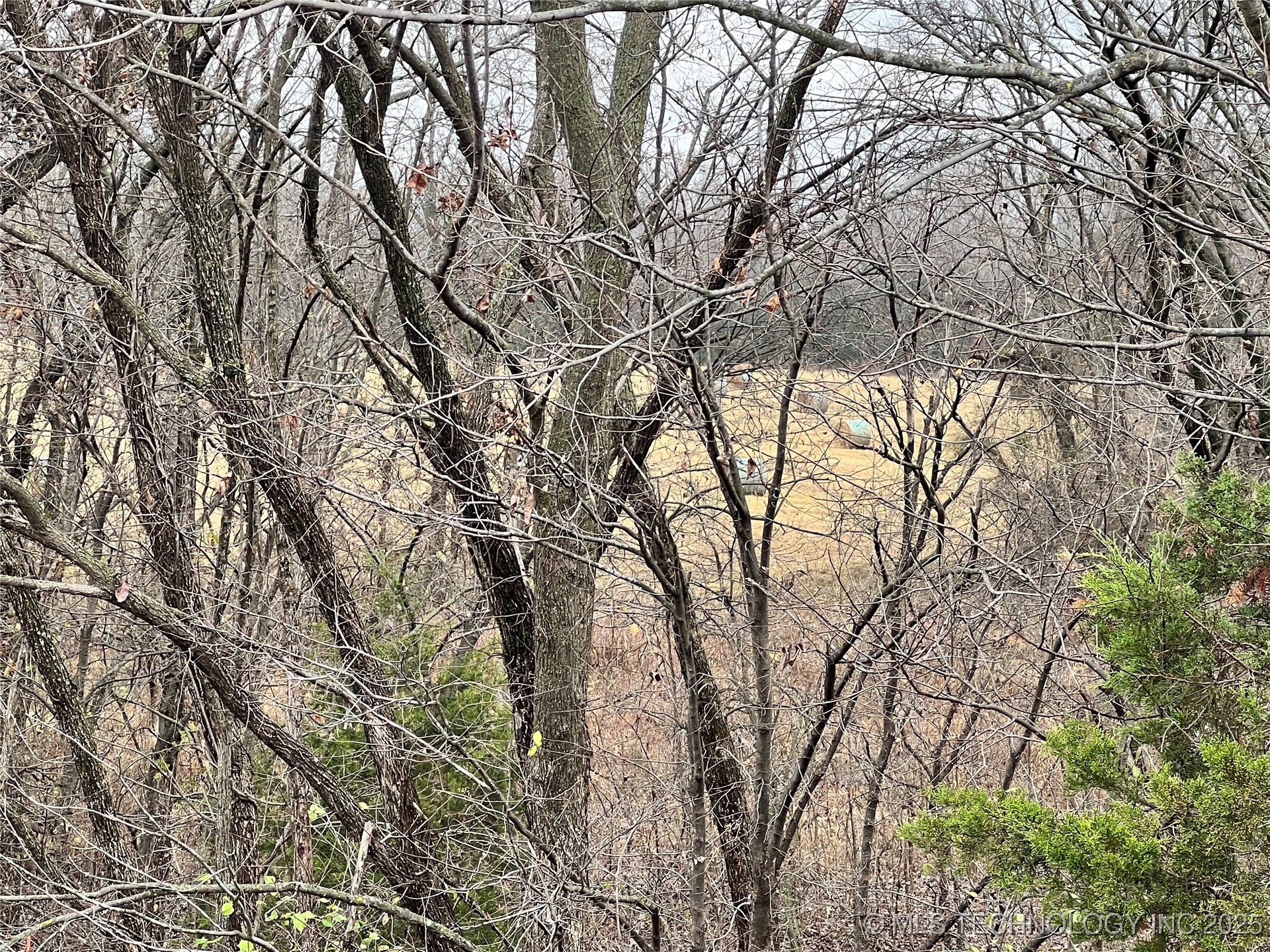 3684 Us Hwy 77 Property Photo 30