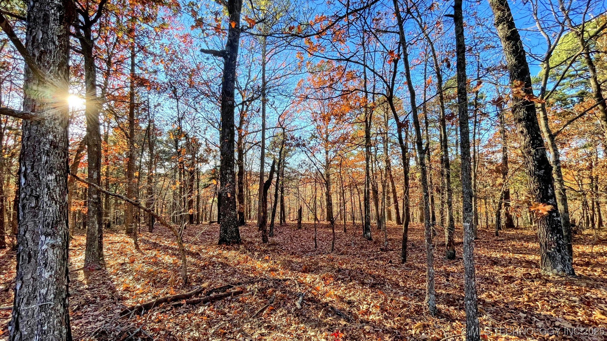 14 Big Bear Road Property Photo 1