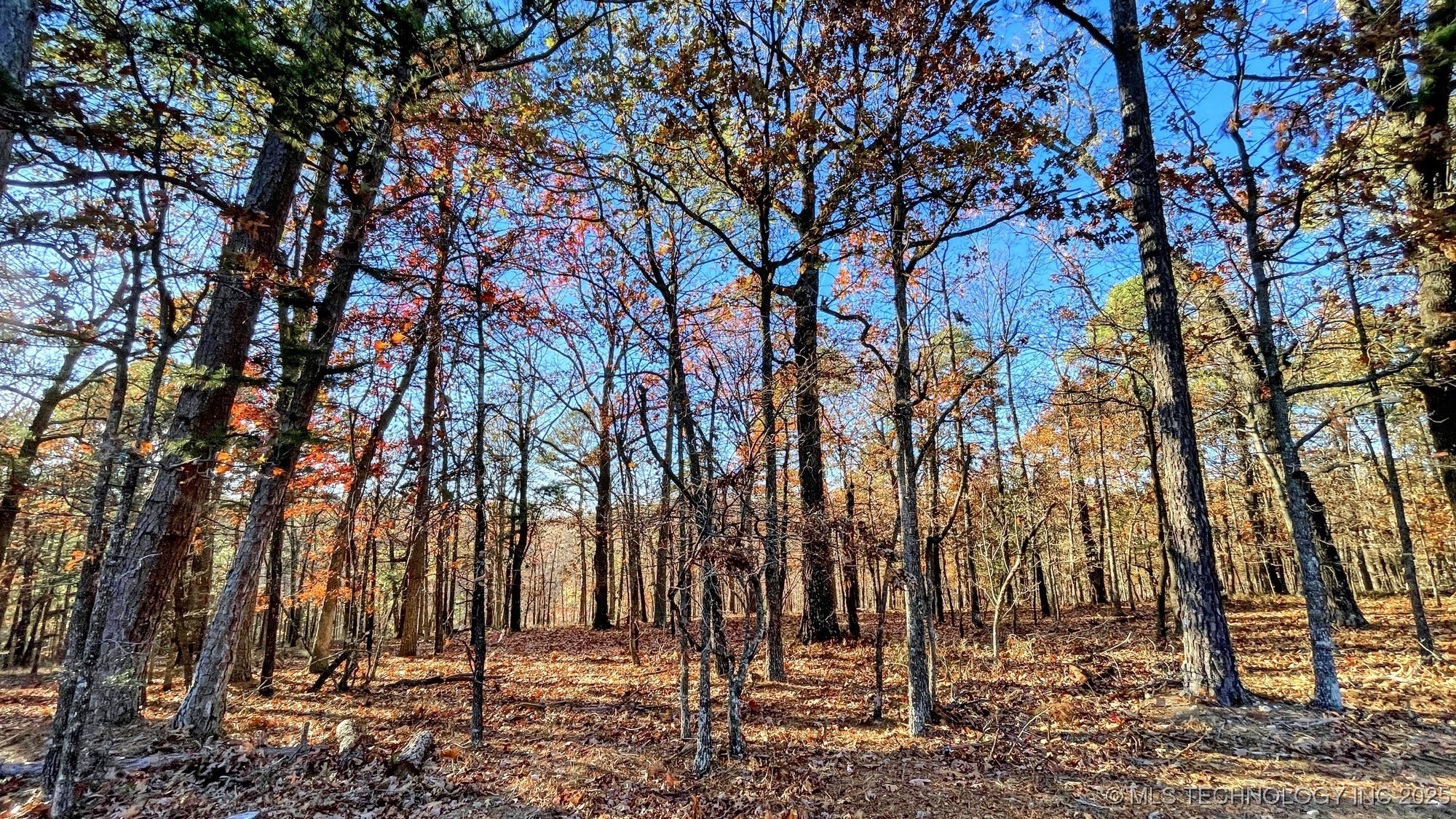 14 Big Bear Road Property Photo 2