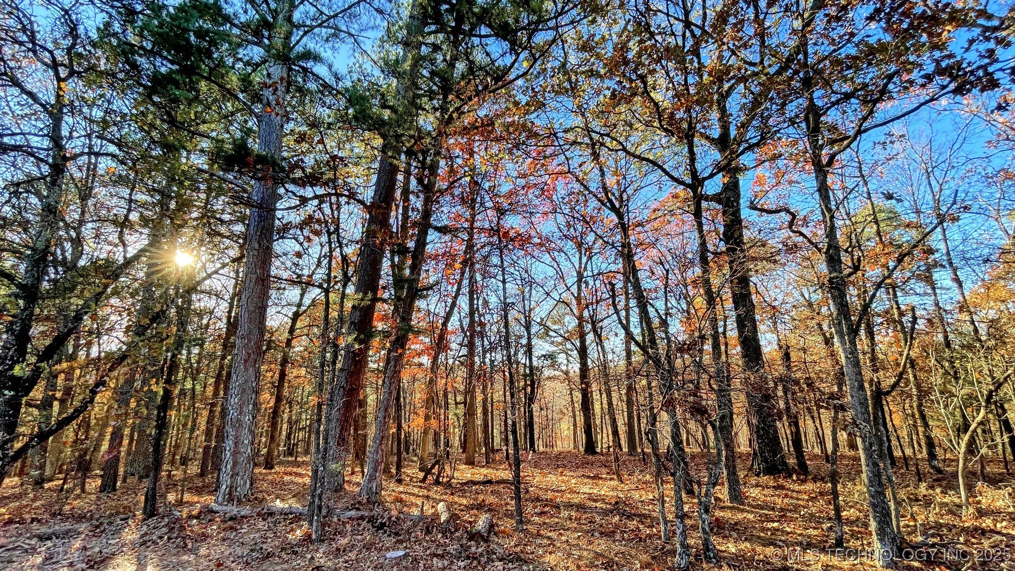 14 Big Bear Road Property Photo 3