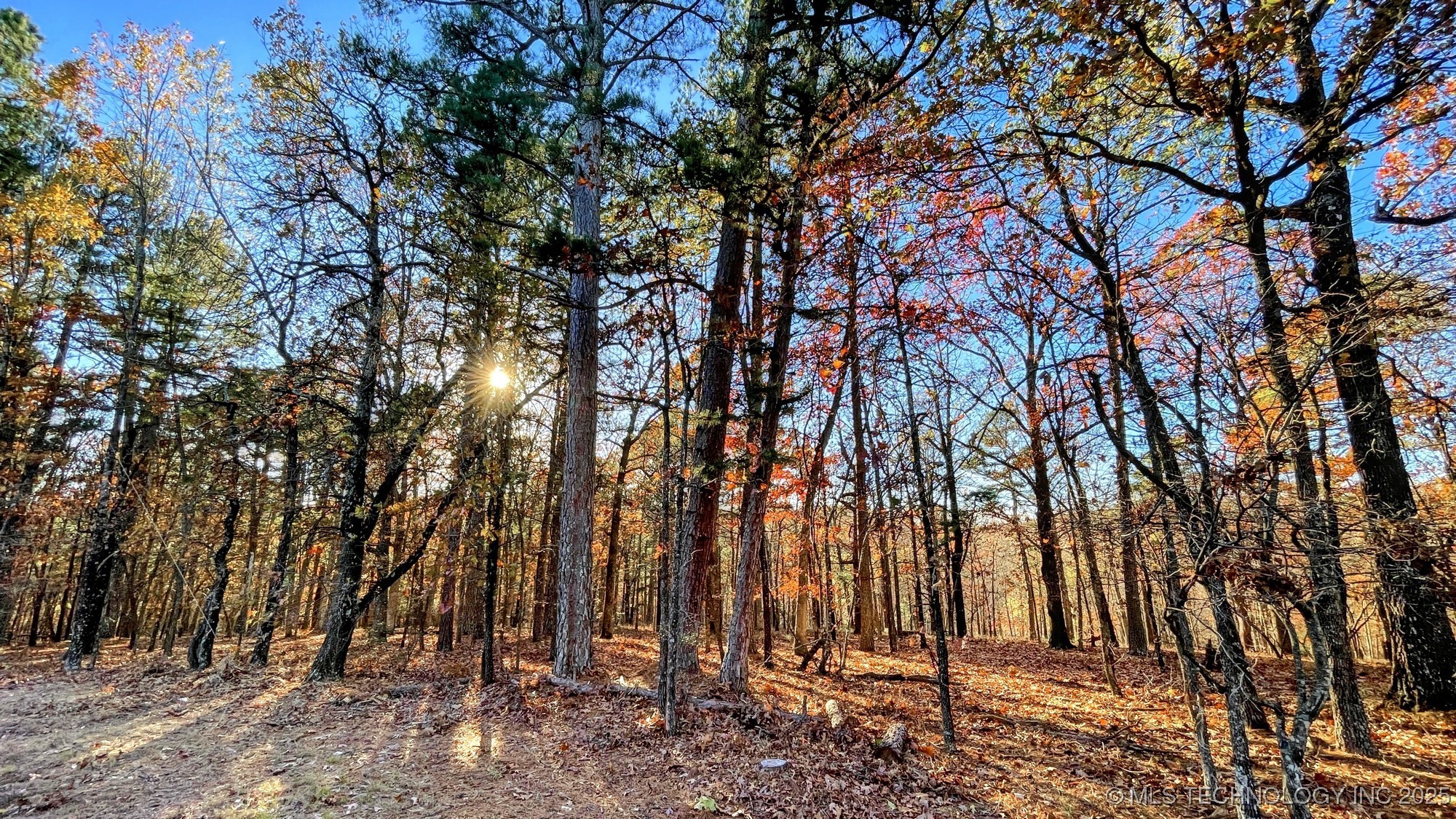 14 Big Bear Road Property Photo 4