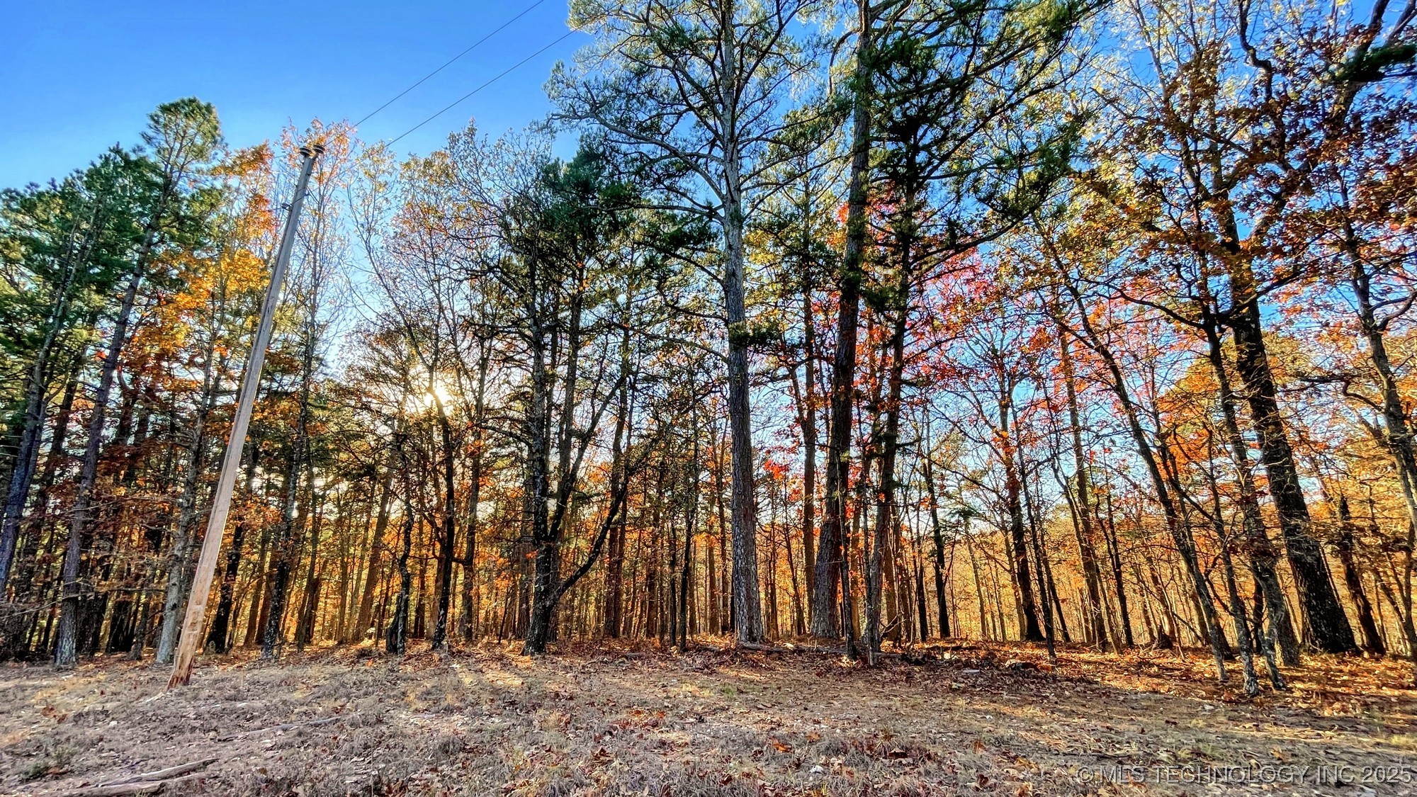 14 Big Bear Road Property Photo 5