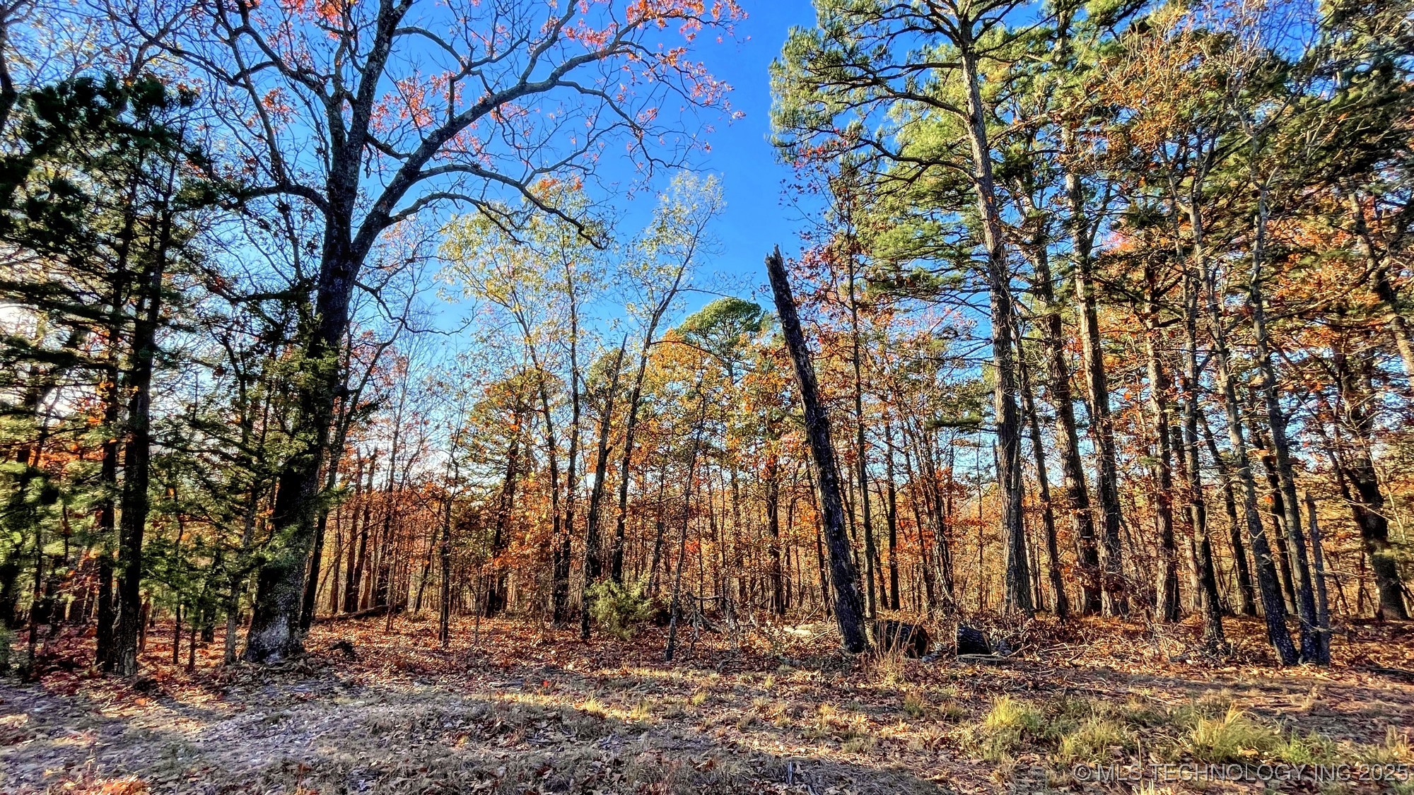 14 Big Bear Road Property Photo 7