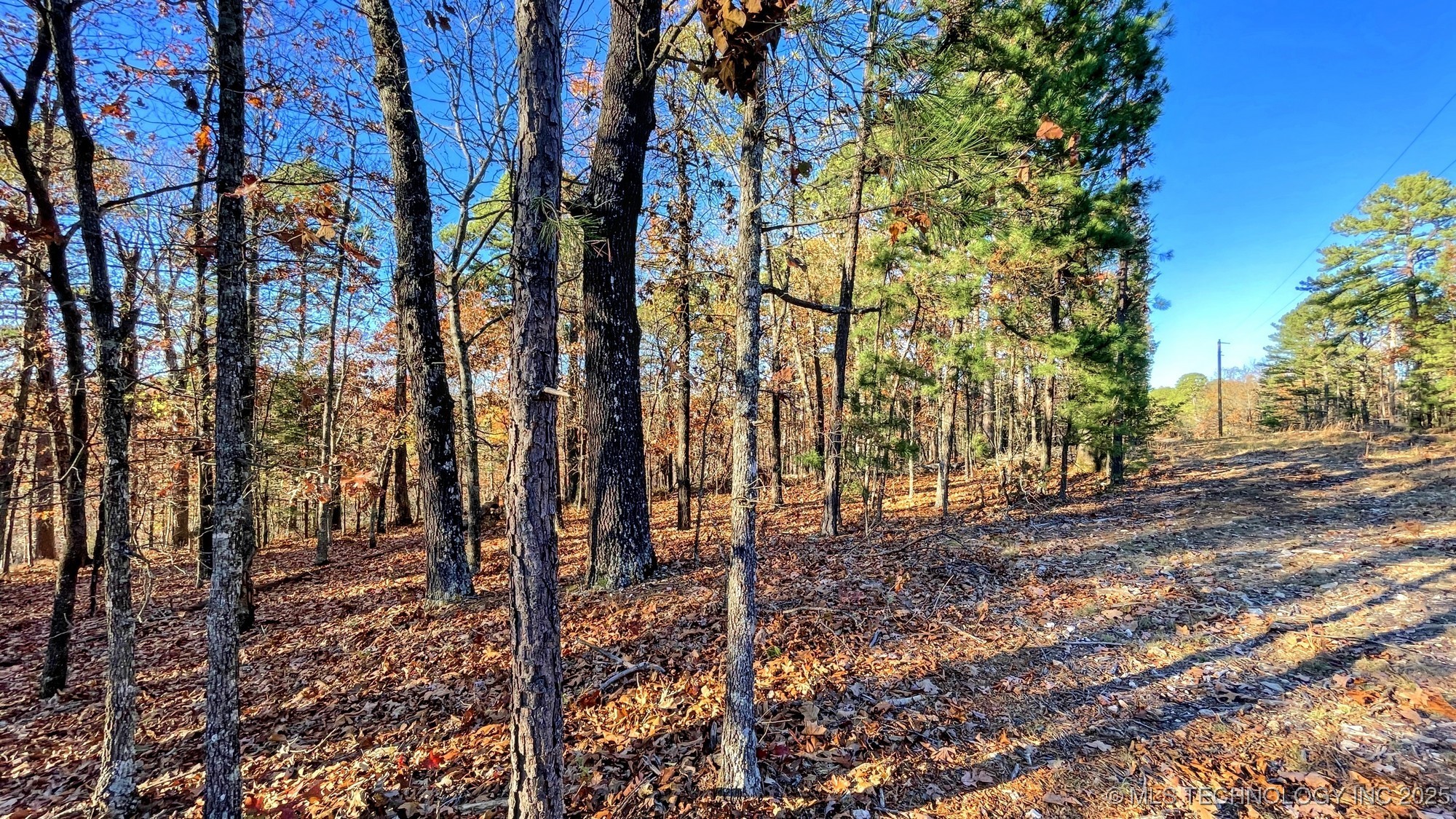 14 Big Bear Road Property Photo 9