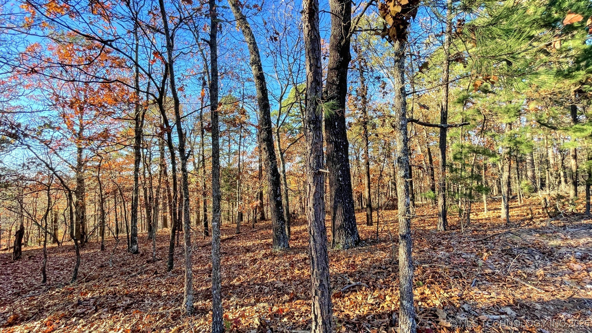 14 Big Bear Road Property Photo 10