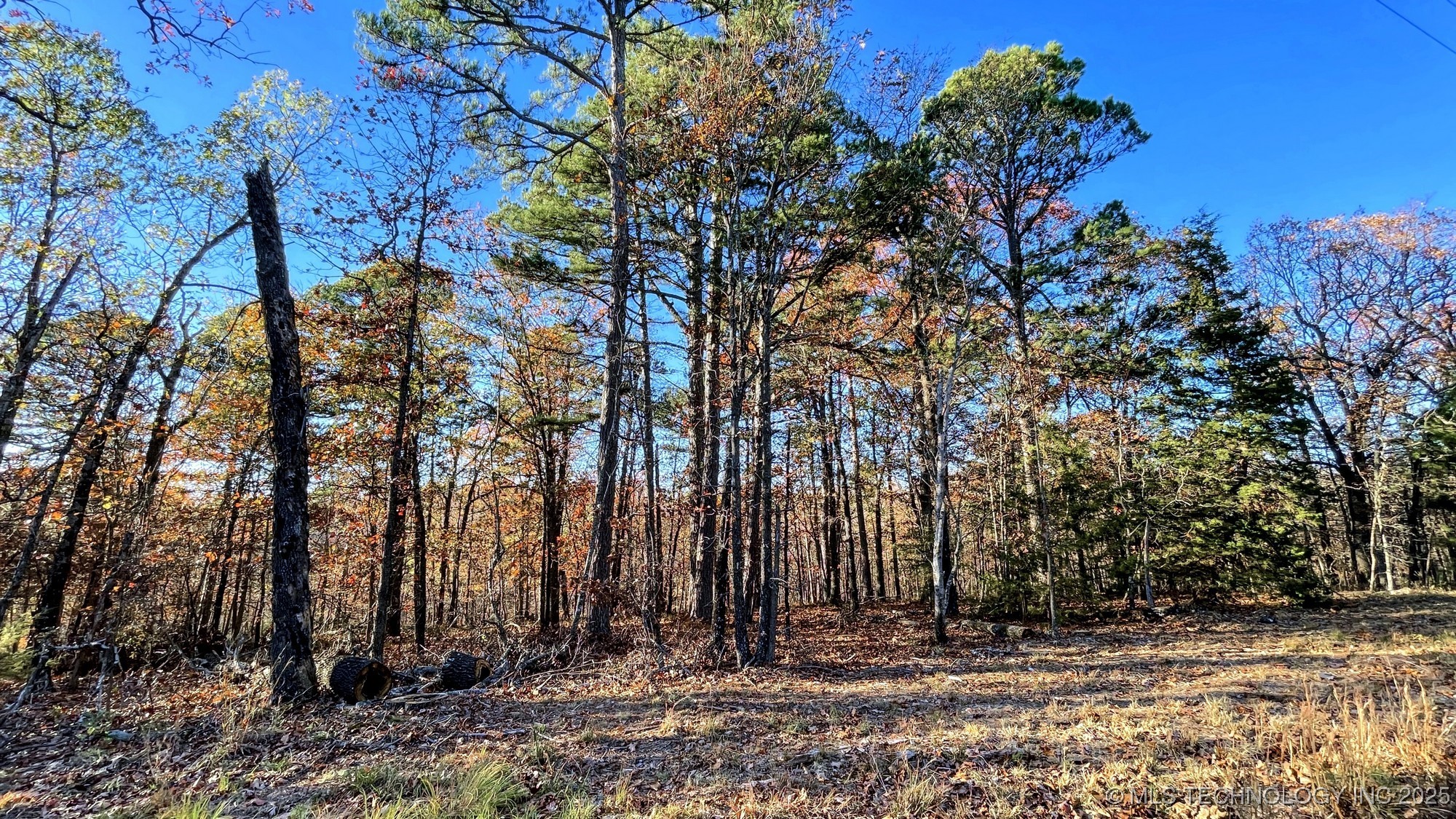 14 Big Bear Road Property Photo 11