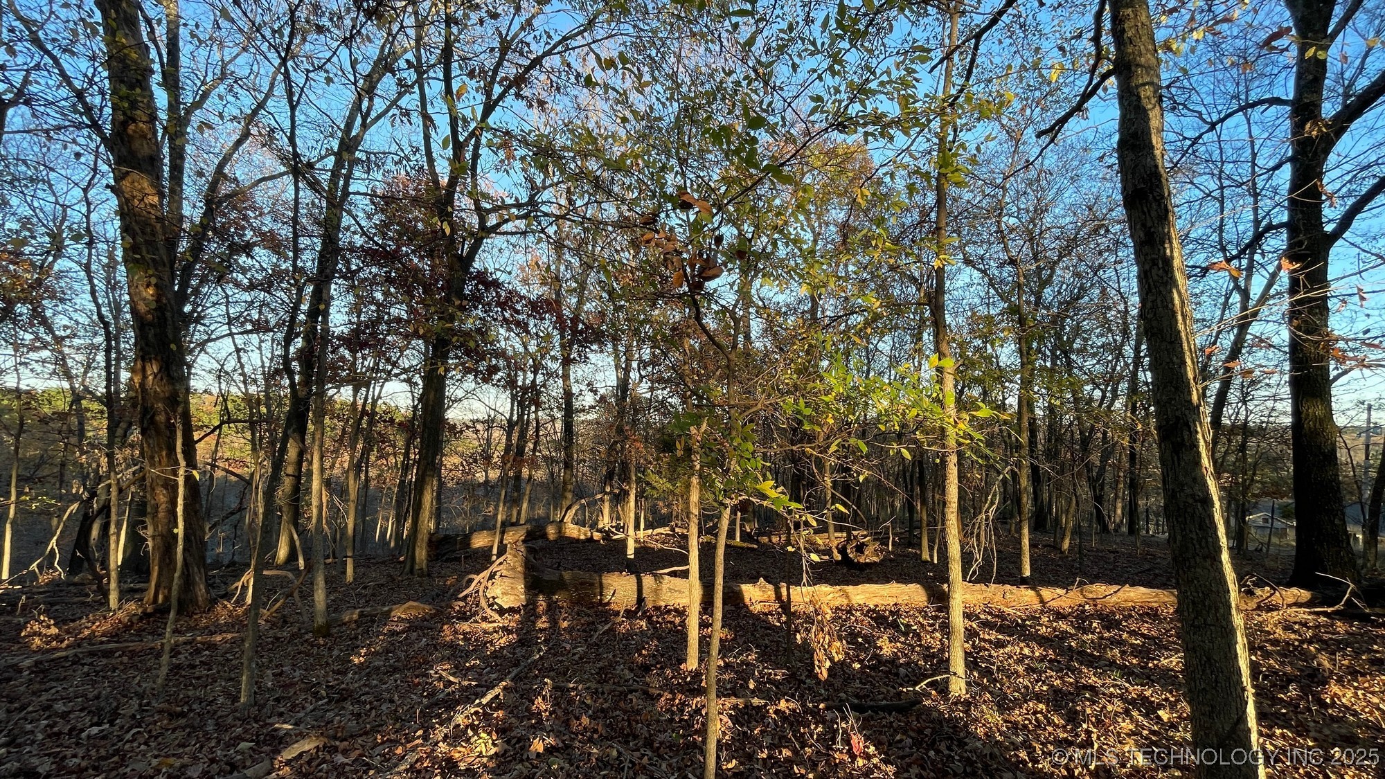 1471 Birchbark Drive Property Photo 3