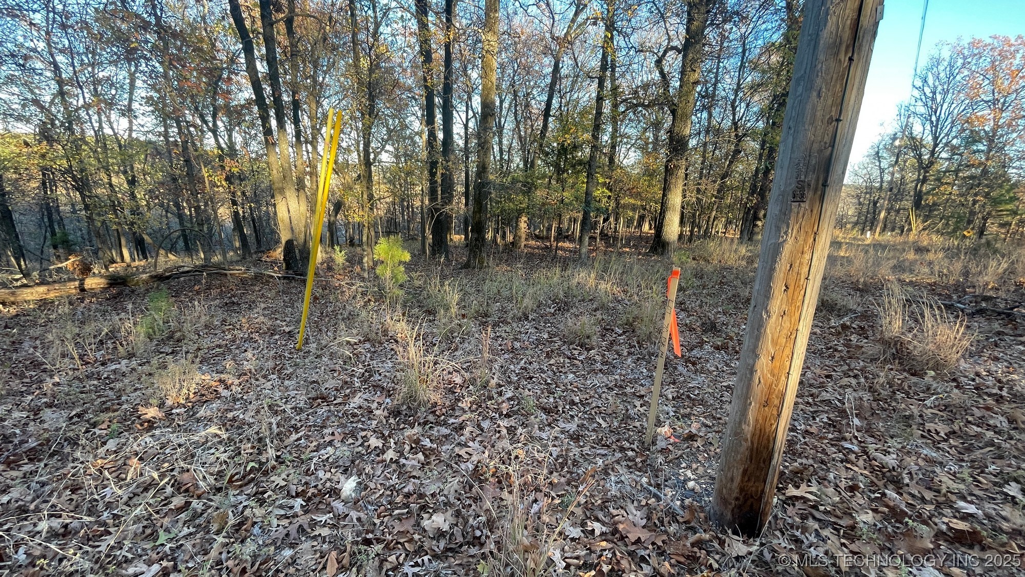 1471 Birchbark Drive Property Photo 4