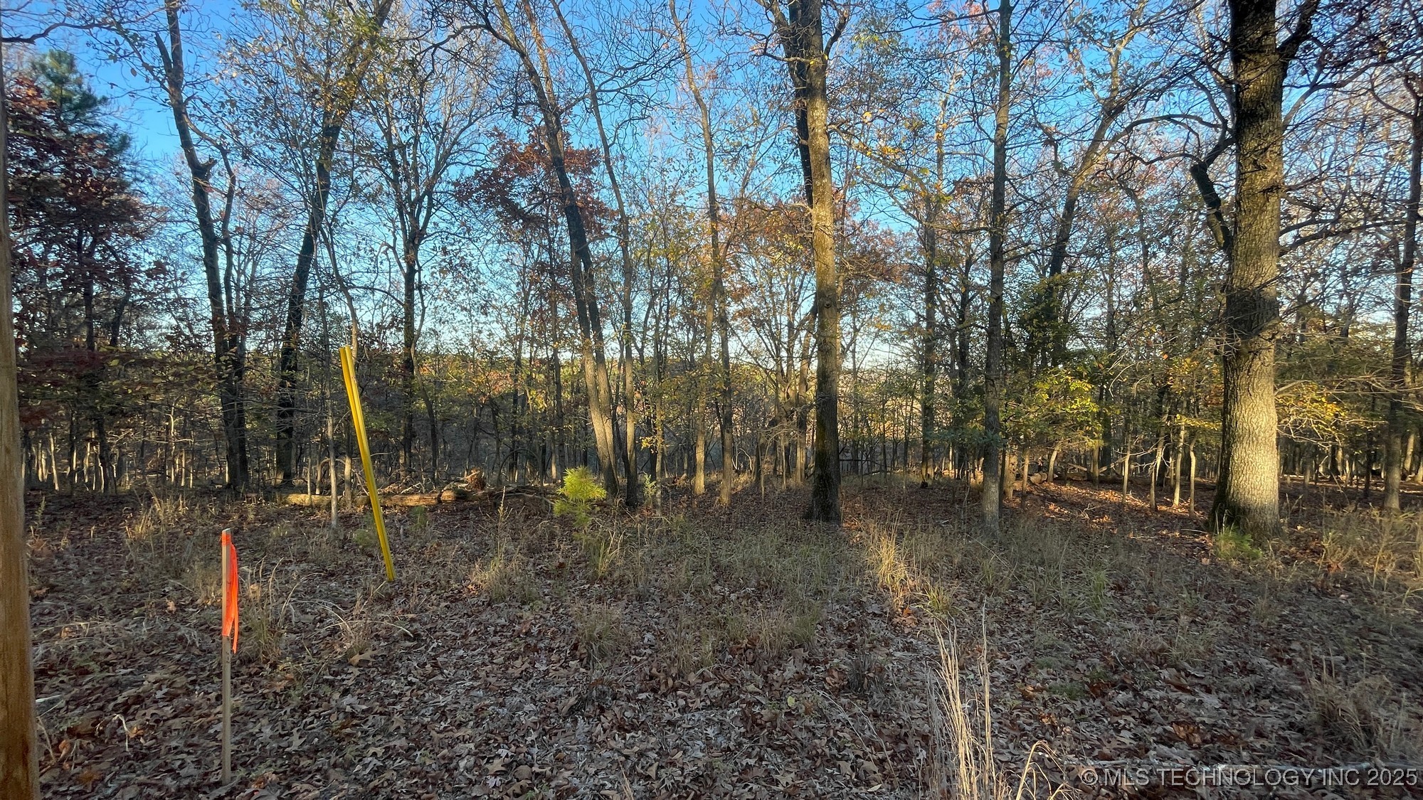 1471 Birchbark Drive Property Photo 5