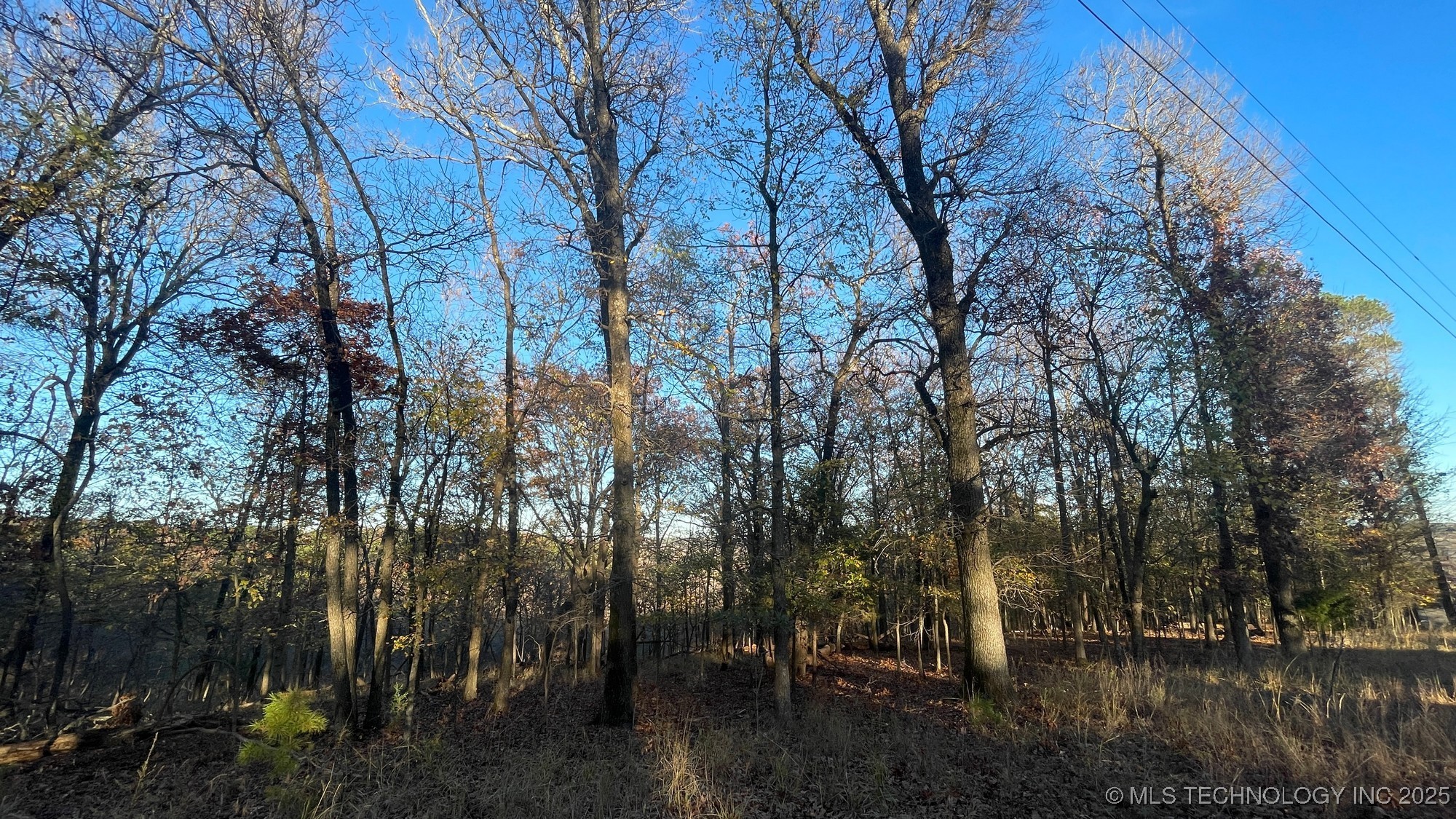 1471 Birchbark Drive Property Photo 6